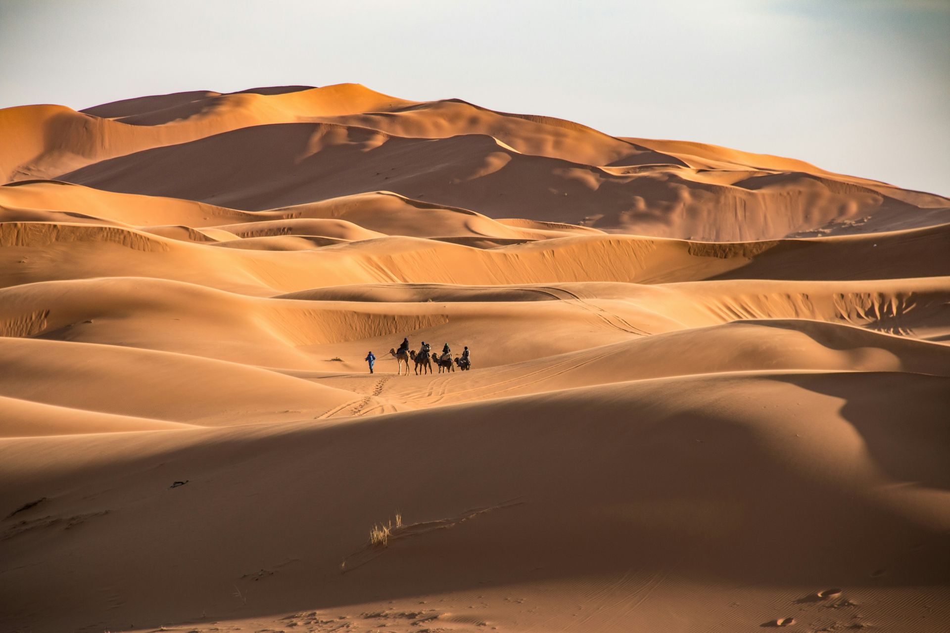 A group of people are riding camels through a desert in Erg Chebbi, Morocco.