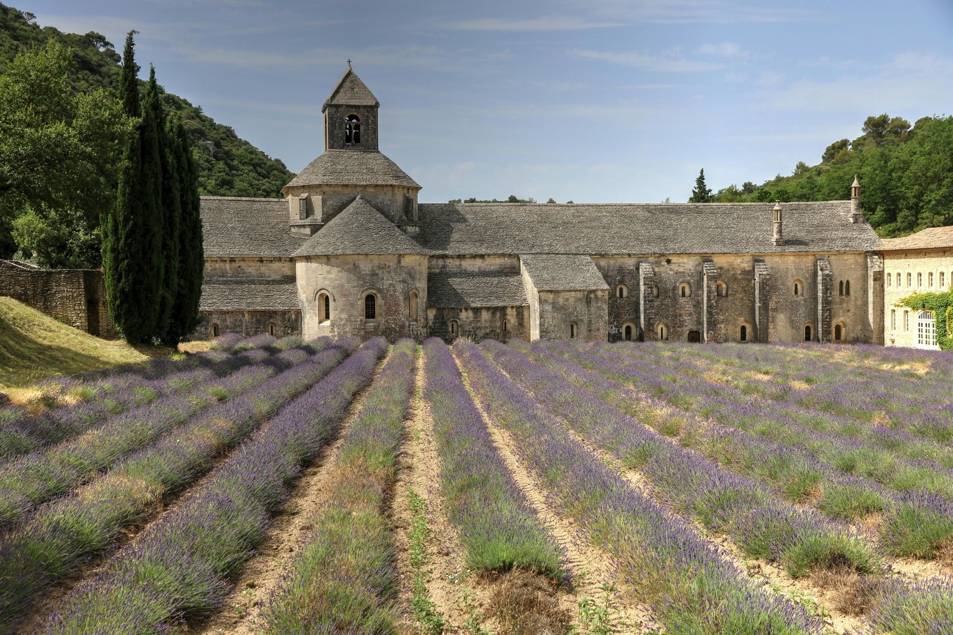 A large building with a bell tower is surrounded by lavender fields in Aix-en-Provence.