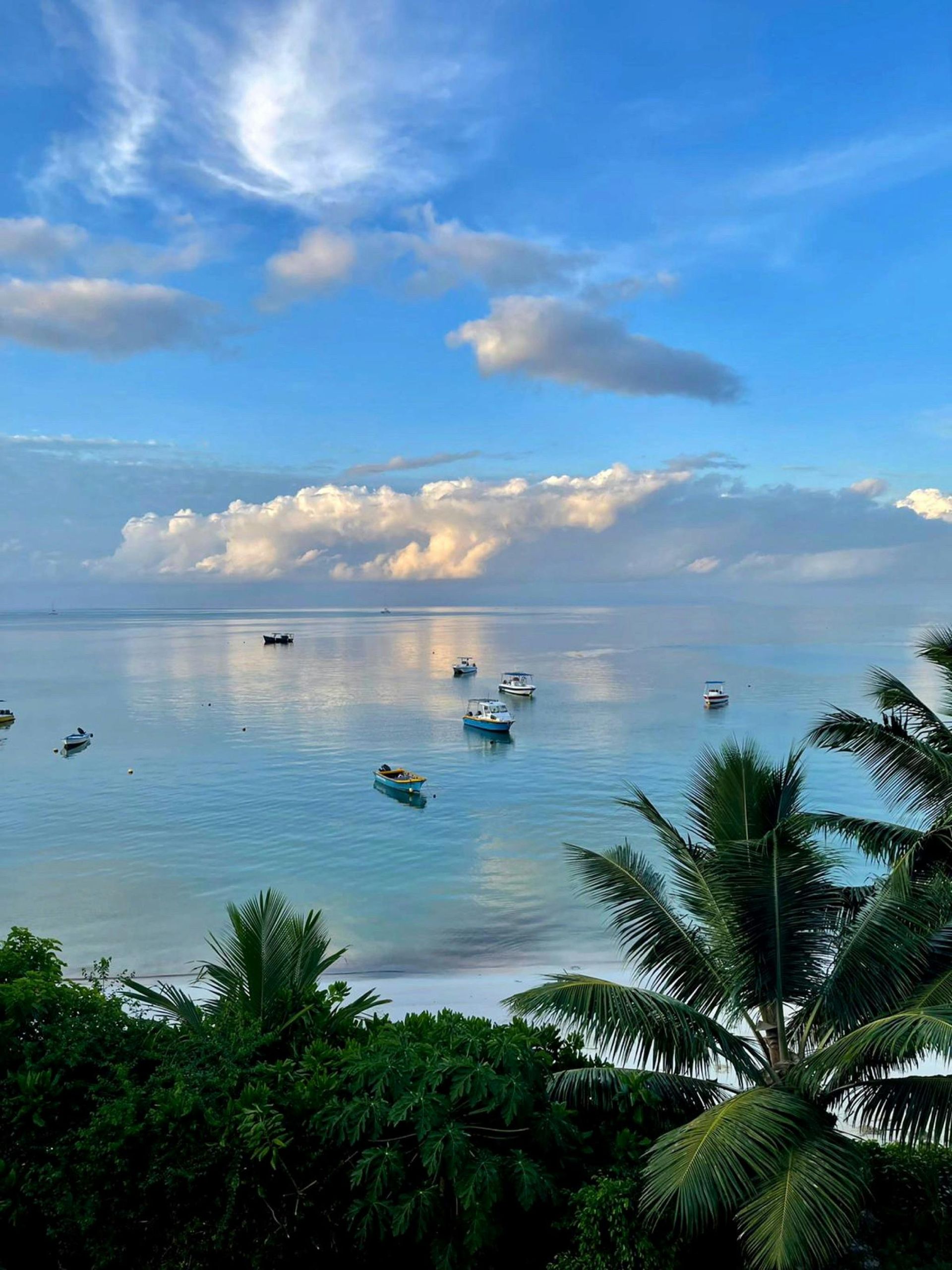 A view of the ocean with boats in it and palm trees in the foreground on Seychelles Island.