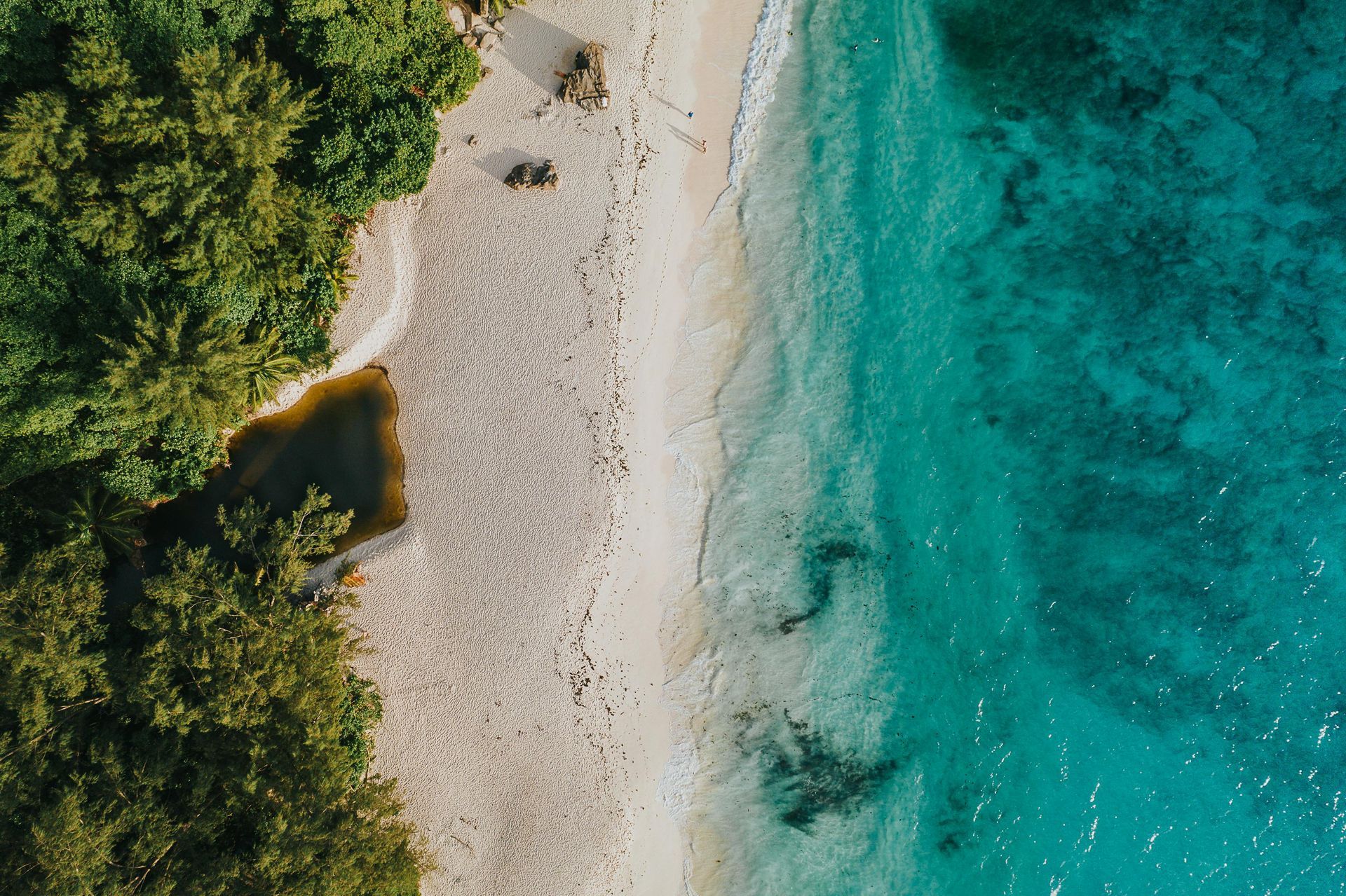 An aerial view of a beach with trees and a body of water on Seychelles Island.