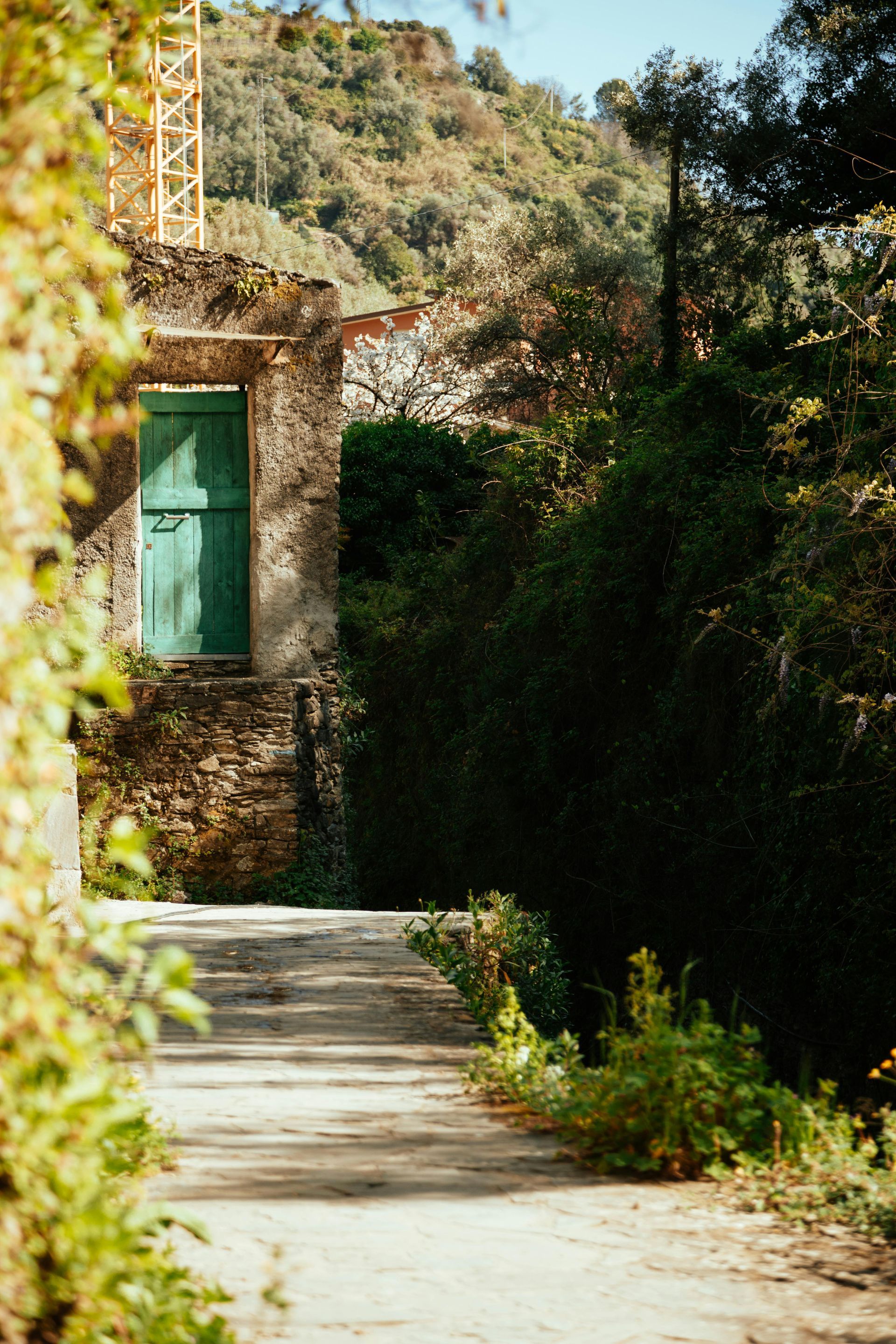 A stone building with a green door is surrounded by trees and bushes in Rome, Italy.