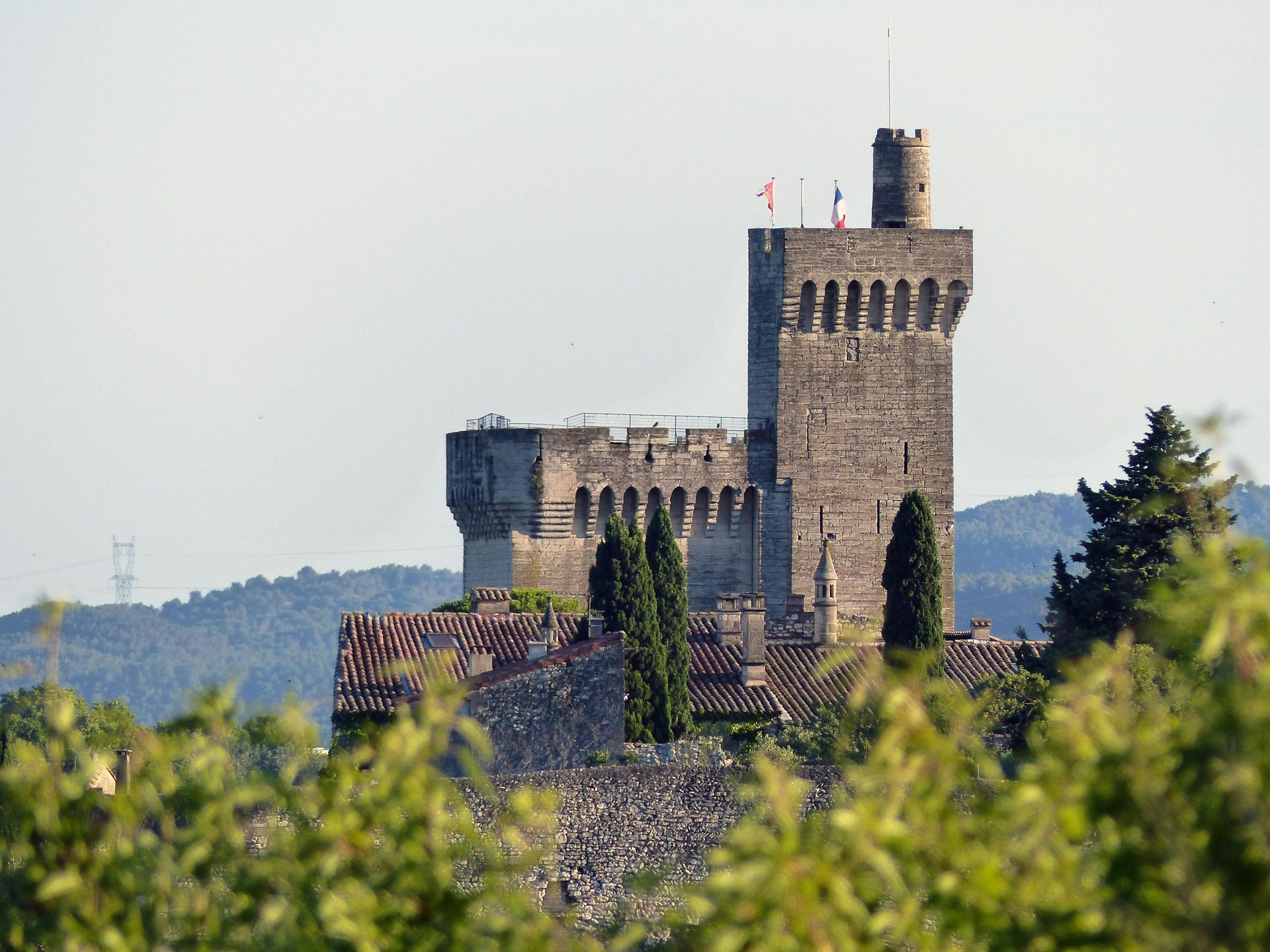 A large stone castle is surrounded by trees and mountains in Aix-en-Provence.