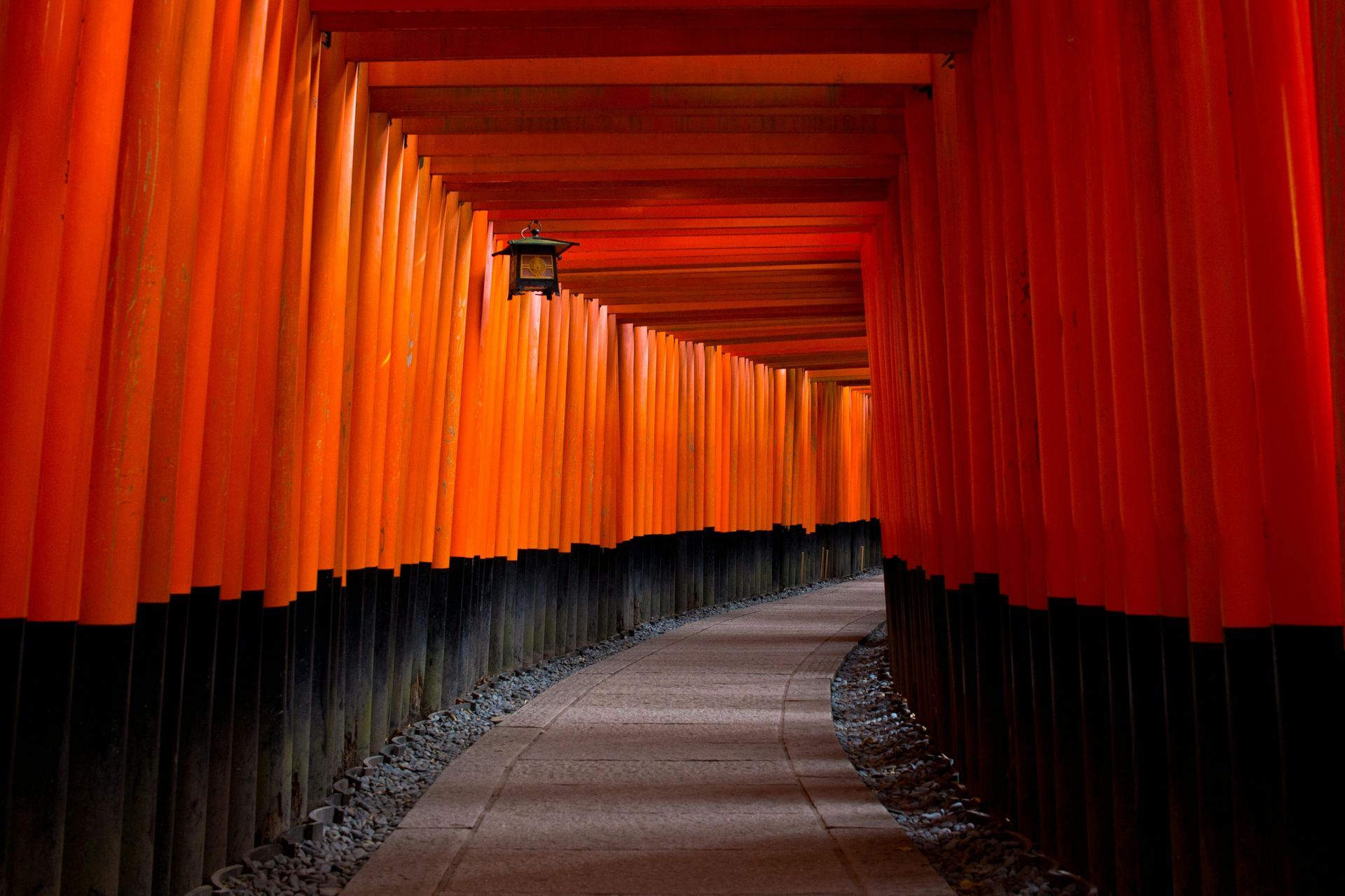 A row of wooden black and red gates in Fushimi Inari Shrine in Japan. 