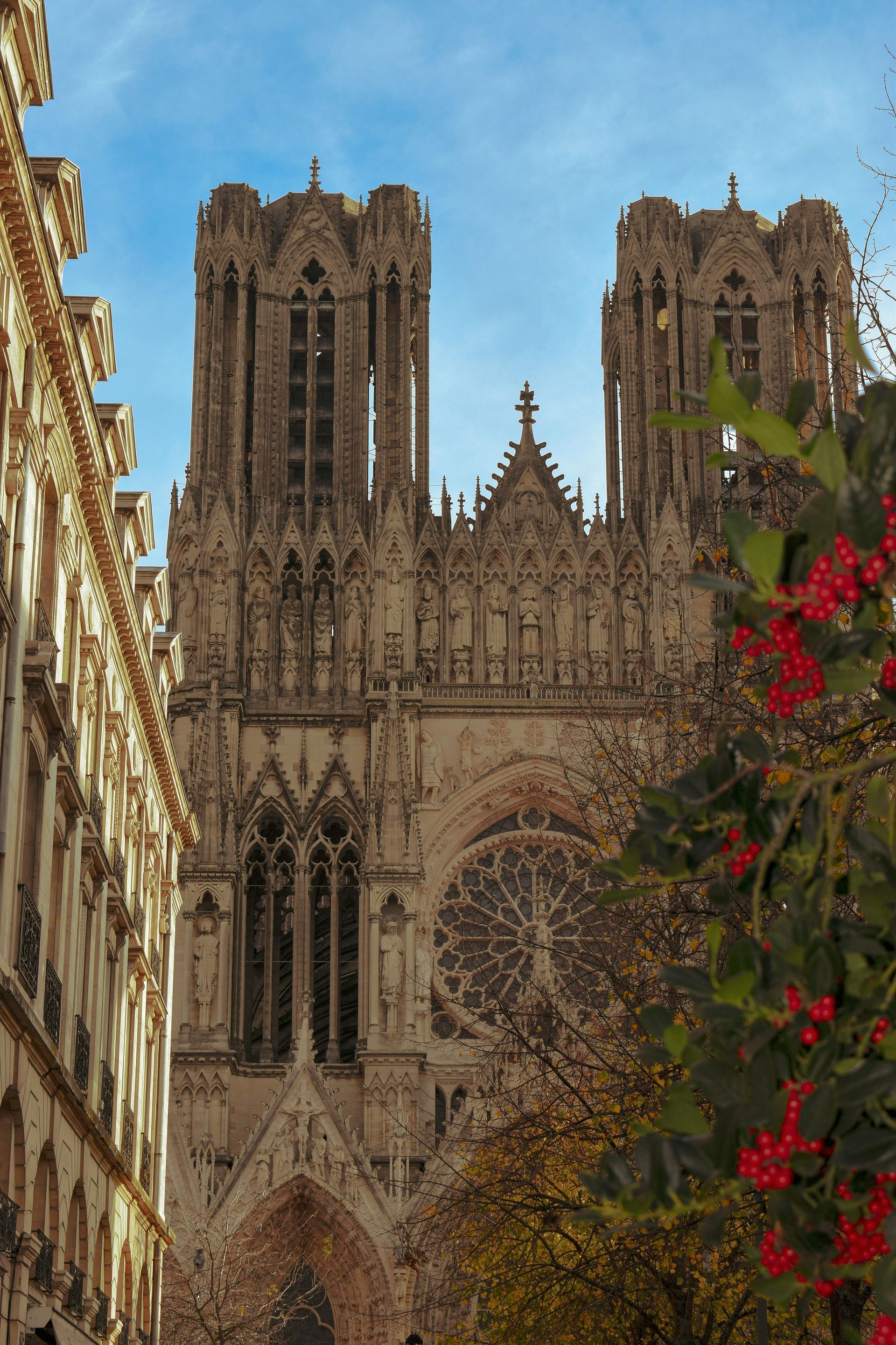 A large building with a lot of windows and a tree with red berries in front of it in Champagne, France.