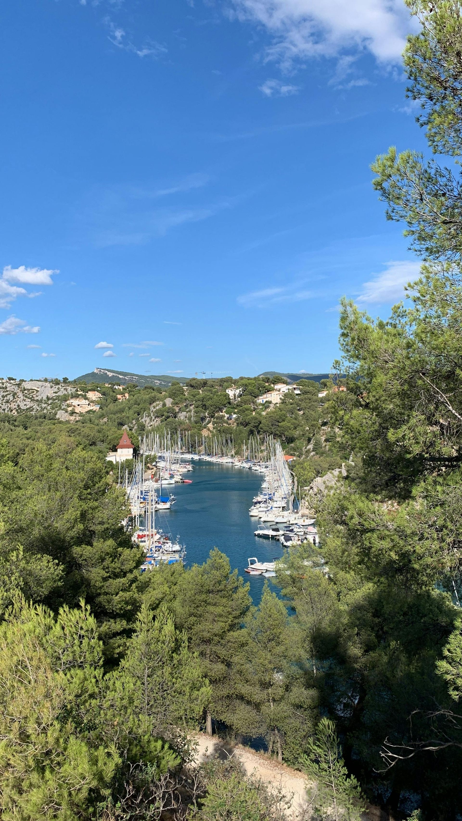 A view of a harbor surrounded by trees on a sunny day in Côte d’Azur.