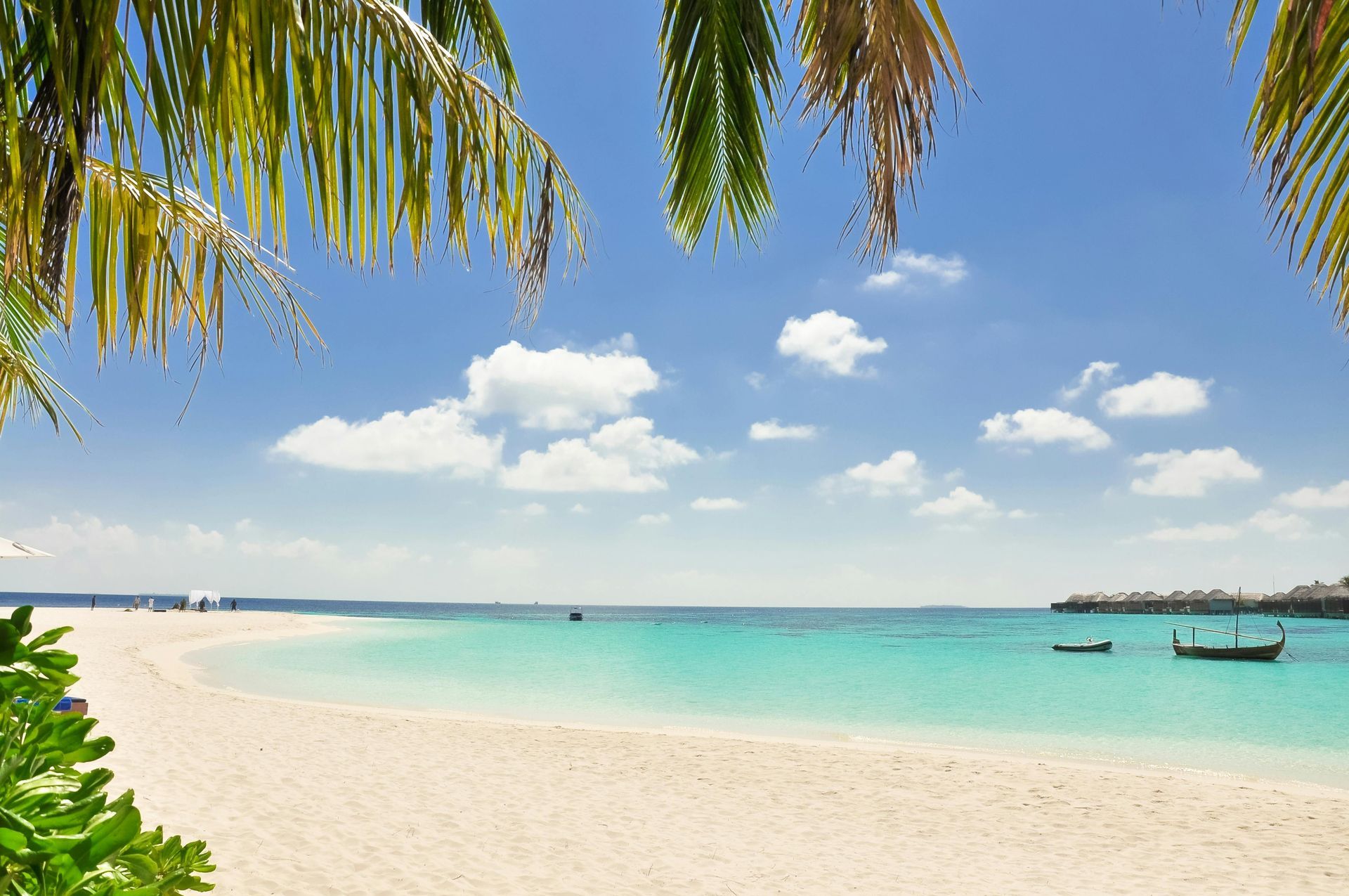 A tropical beach with palm trees and boats in the water in the Caribbean.