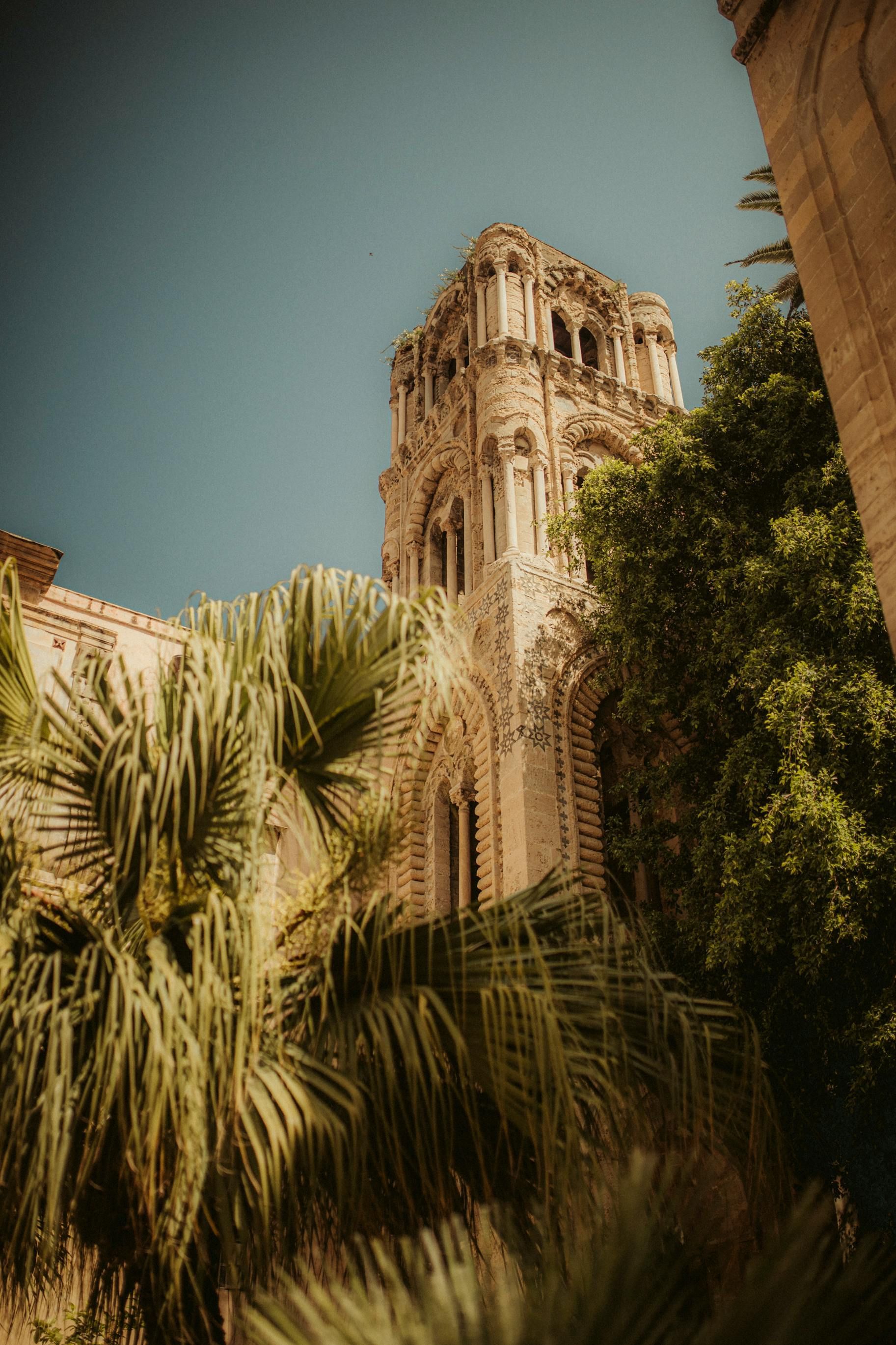 A tall building with a clock tower is surrounded by palm trees in Palermo, Sicily.