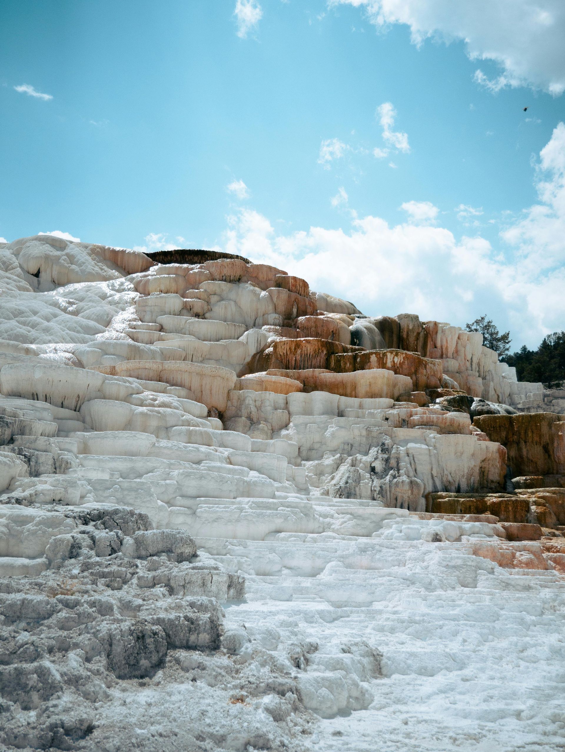 A large rock formation in the middle of Mammoth Hot Springs with a blue sky in the background at Yellow Stone National Park.