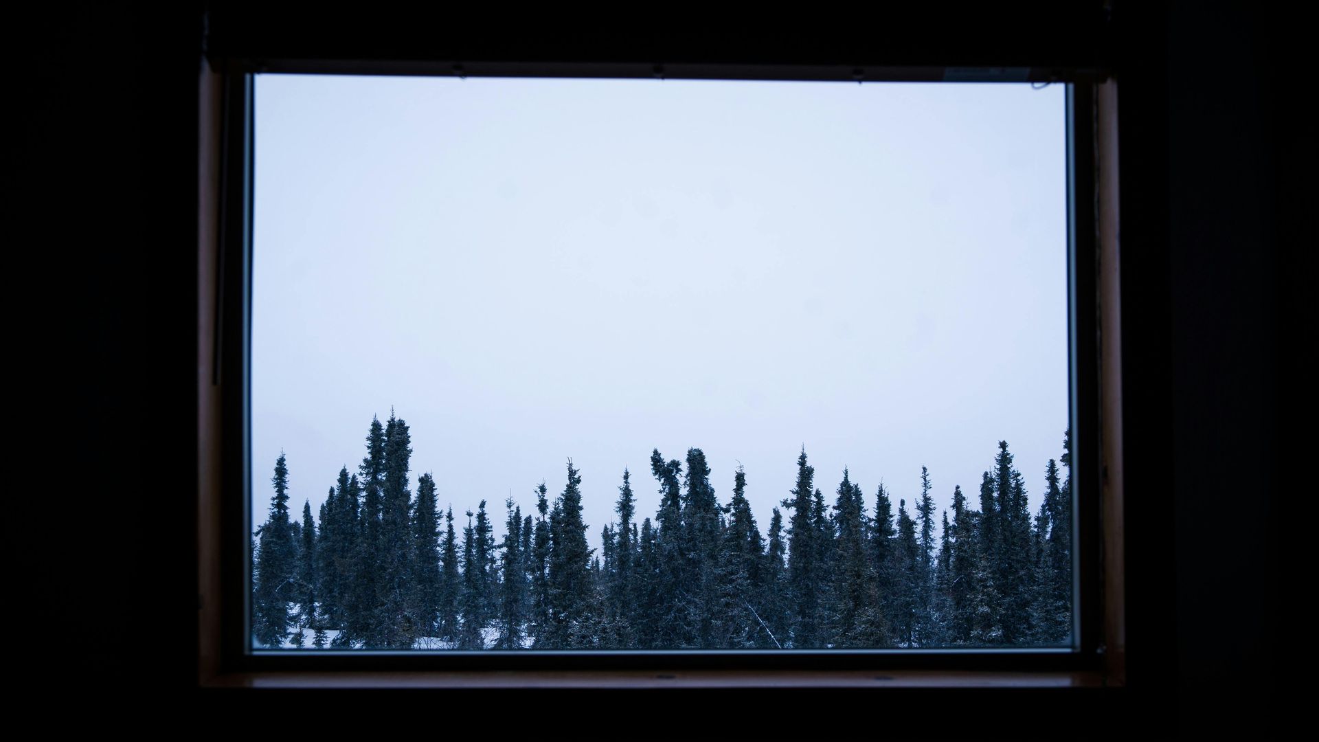 A window with a view of a snowy forest in Alaska.