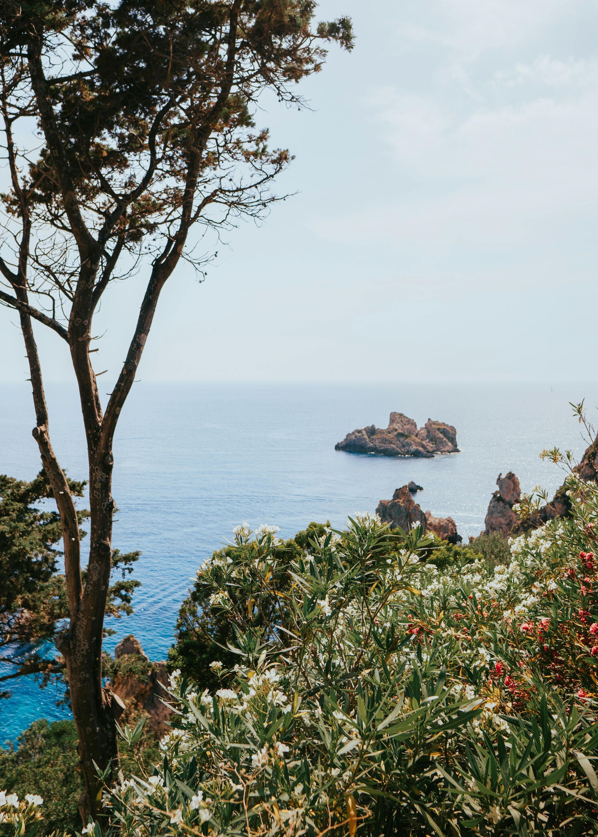 A small island in the middle of the ocean is surrounded by trees and flowers in Corfu, Greece.