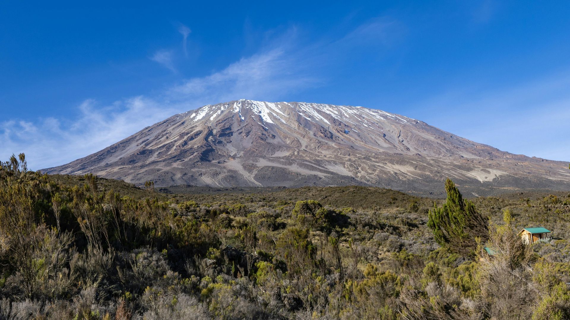 Mount Kilimanjaro covered in snow is surrounded by trees and bushes in Tanzania, Africa.