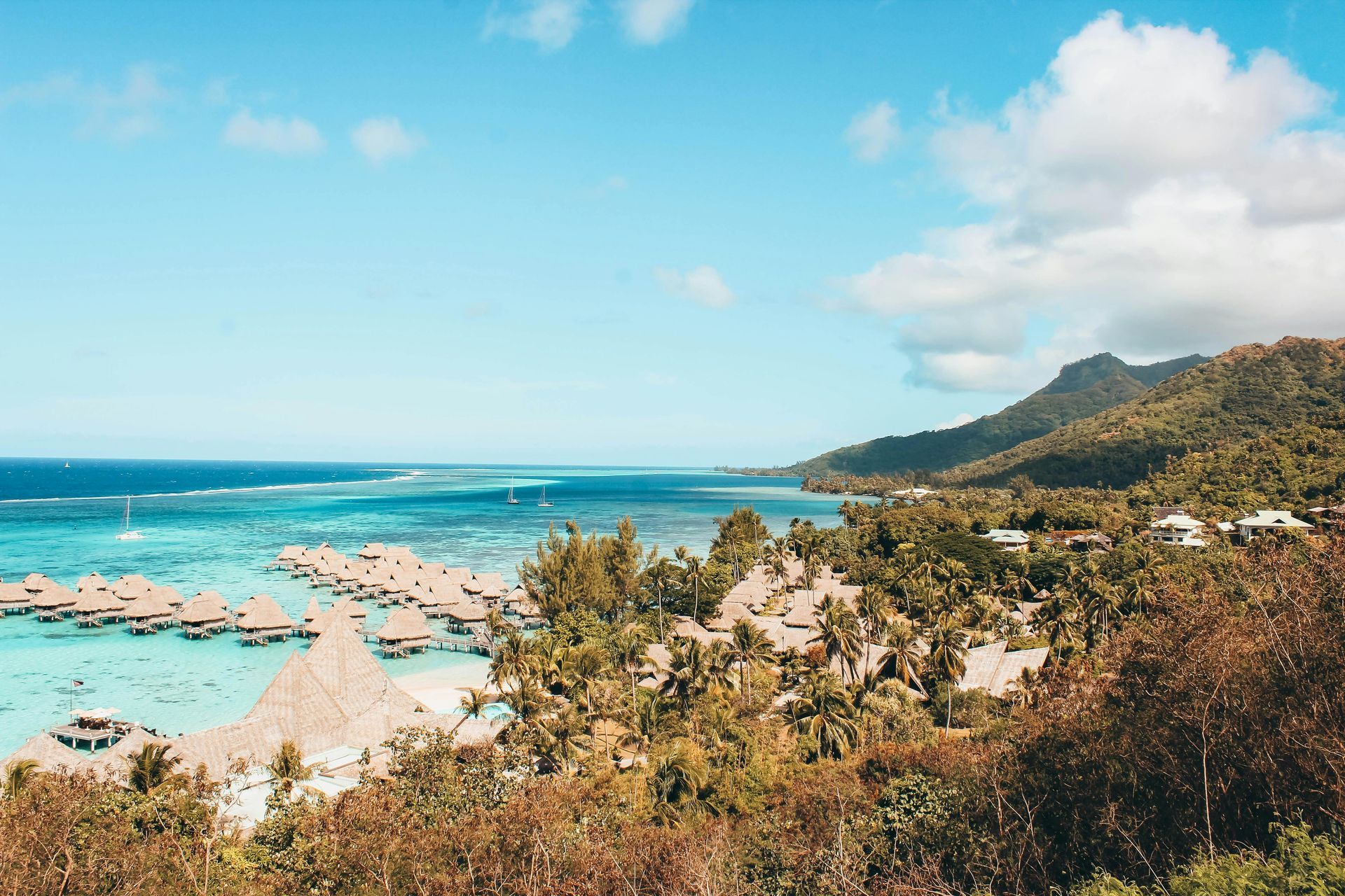 A view of a tropical island with a lot of palm trees and a body of water in French Polynesia.