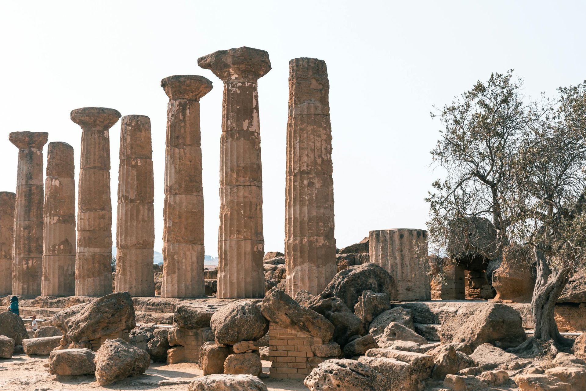 A row of columns in an ancient ruins with a tree in the background at Temples of Agrigento in Sicily, Italy.