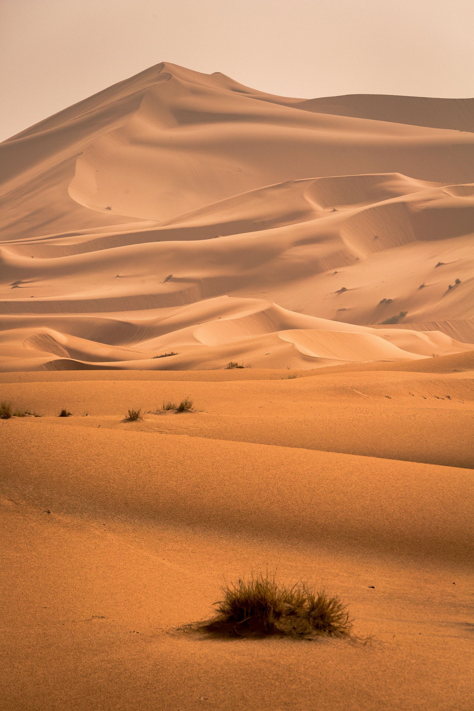 A desert landscape with sand dunes and the Sahara desert background in Morocco.