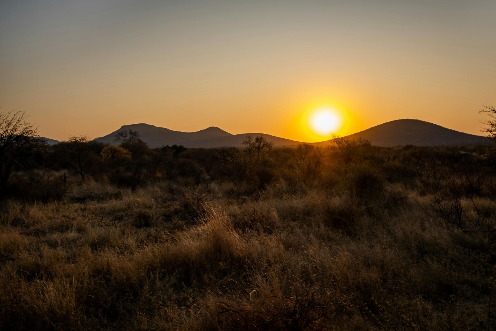 The sun is setting over a grassy field with mountains in the background in Botswana, Africa.