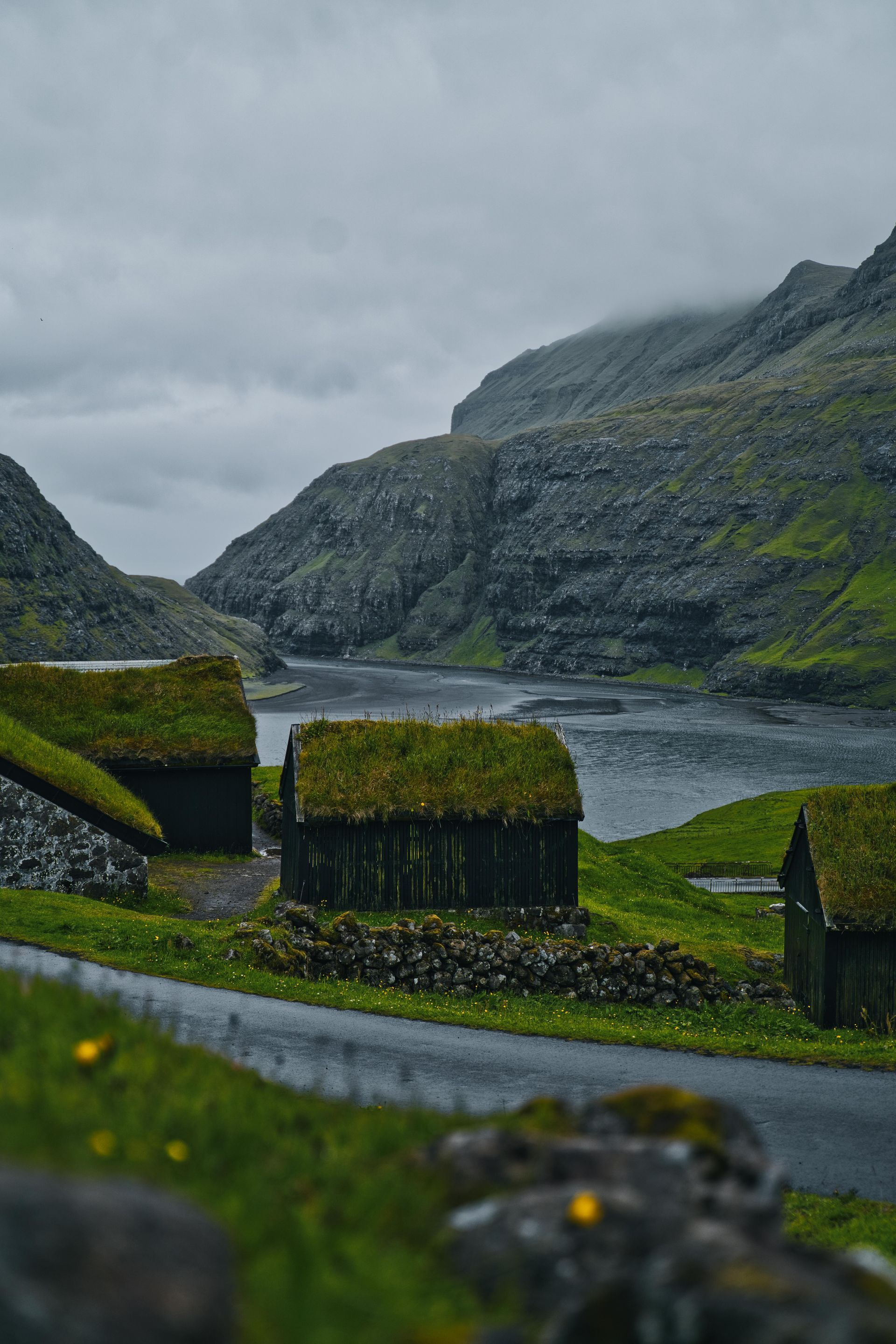 A couple of houses with grass on the roofs are sitting next to a river on the Faroe Islands.