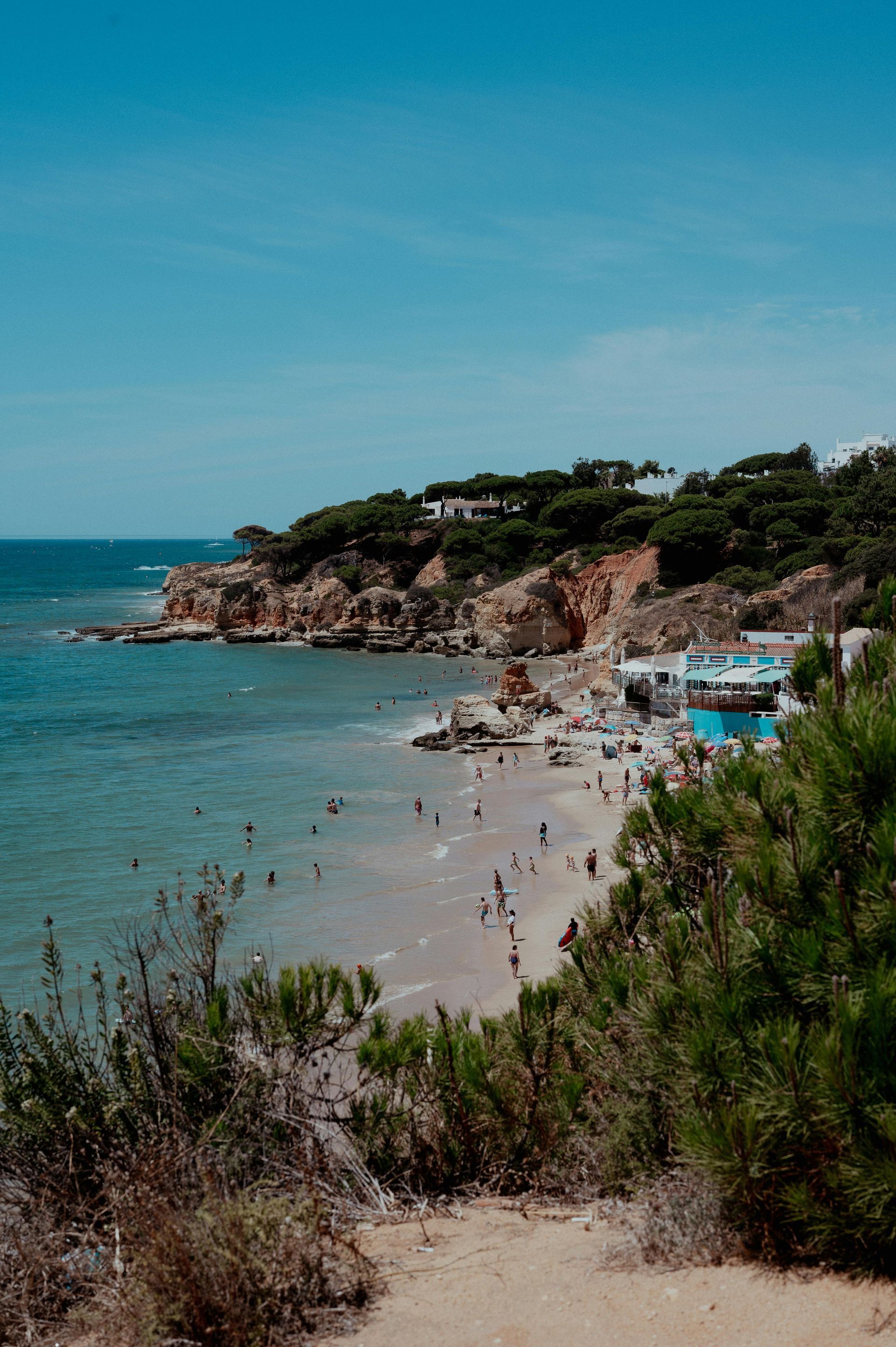 A beach surrounded by trees and bushes next to the Mediterranean ocean on a sunny day.