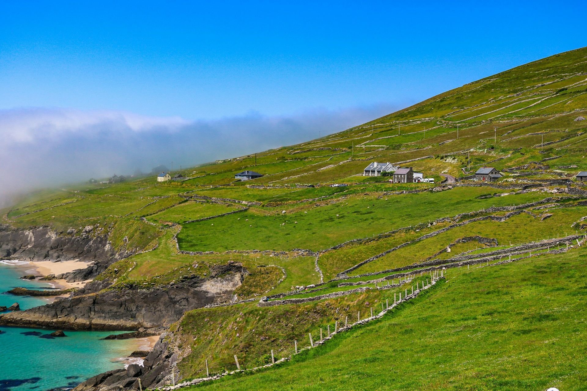 A lush green hillside with a fence and a body of water in the background on Dingle Peninsula
in Ireland.