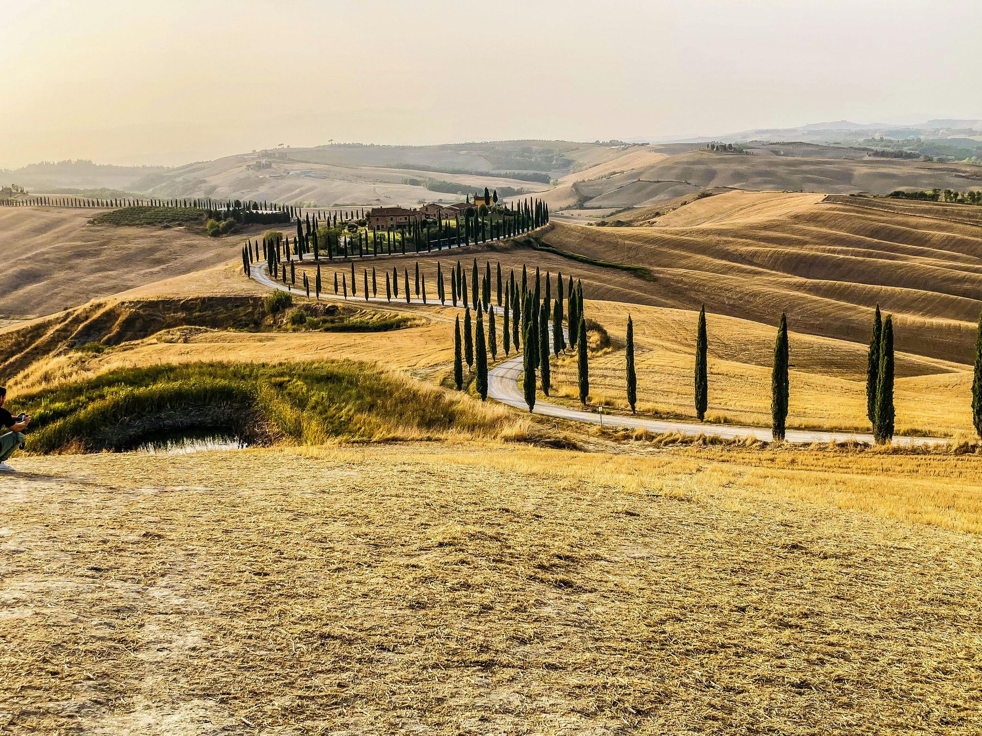 A road going through a dry field with trees on the side of it in Tuscany, Italy.