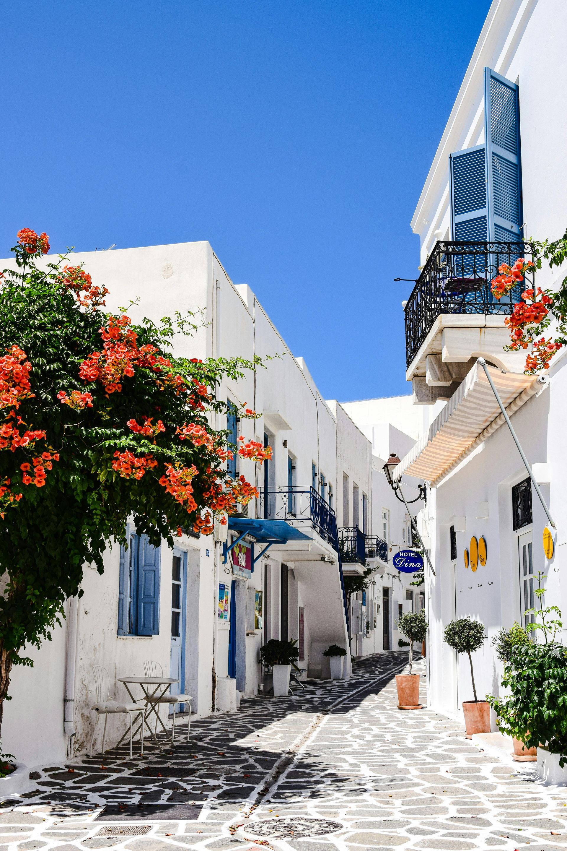 A narrow street lined with white buildings and flowers on a sunny day in Santorini, Greece.