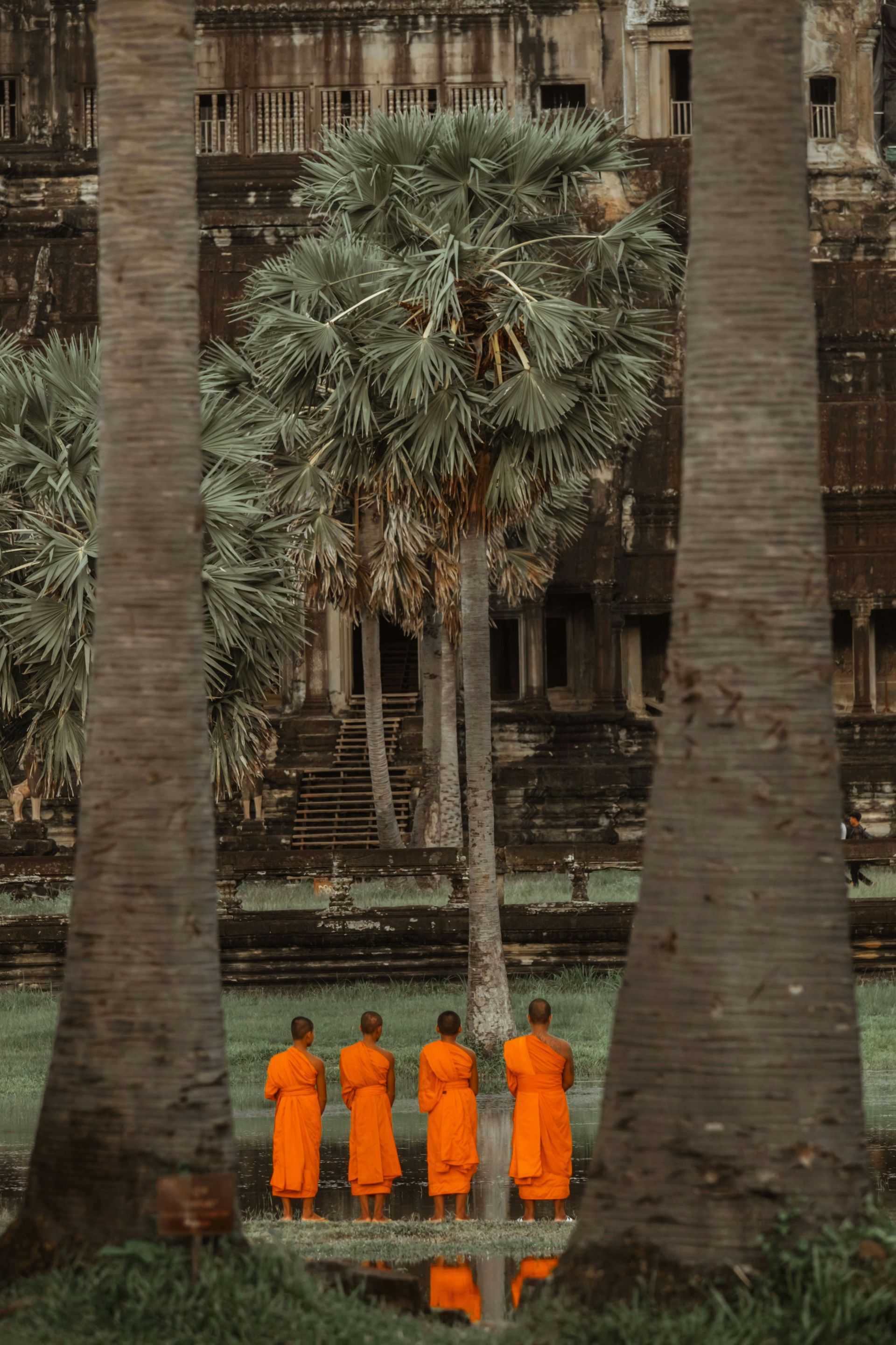 A group of monks in orange robes are standing next to palm trees in Cambodia.