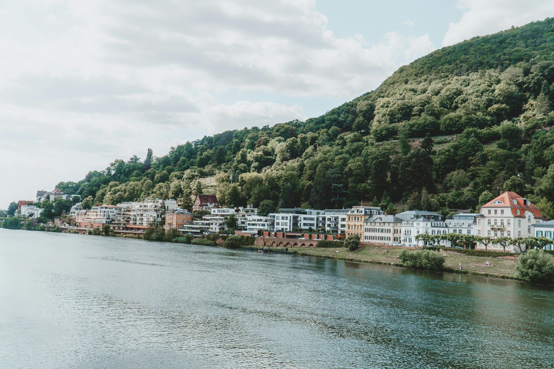 A small town on the shore of The Rhine River with a mountain in the background.