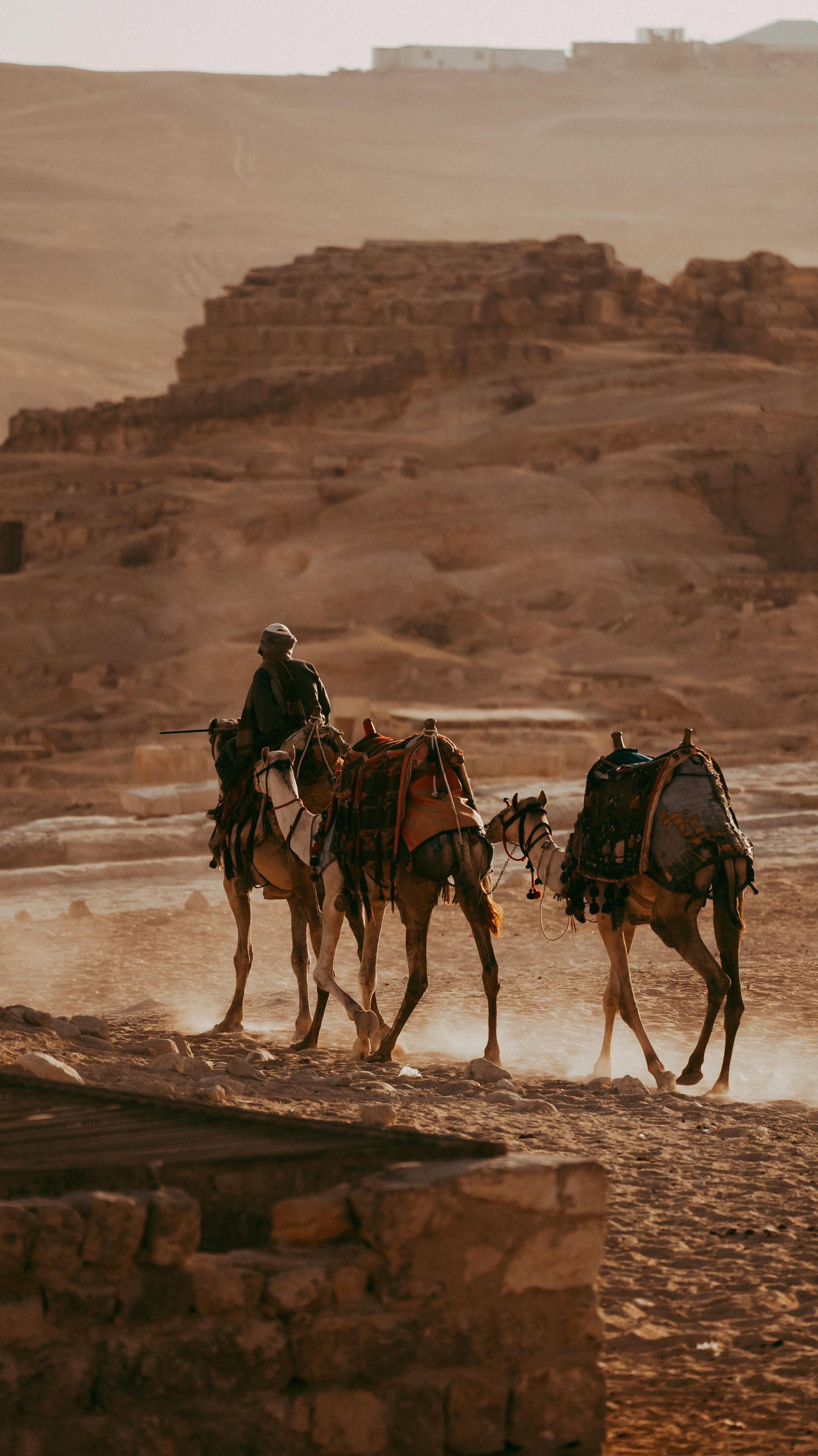 A group of people riding camels in the desert in Egypt.