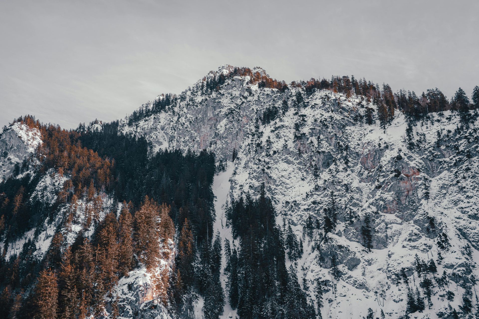 A snowy mountain covered in trees on a cloudy day in Switzerland.