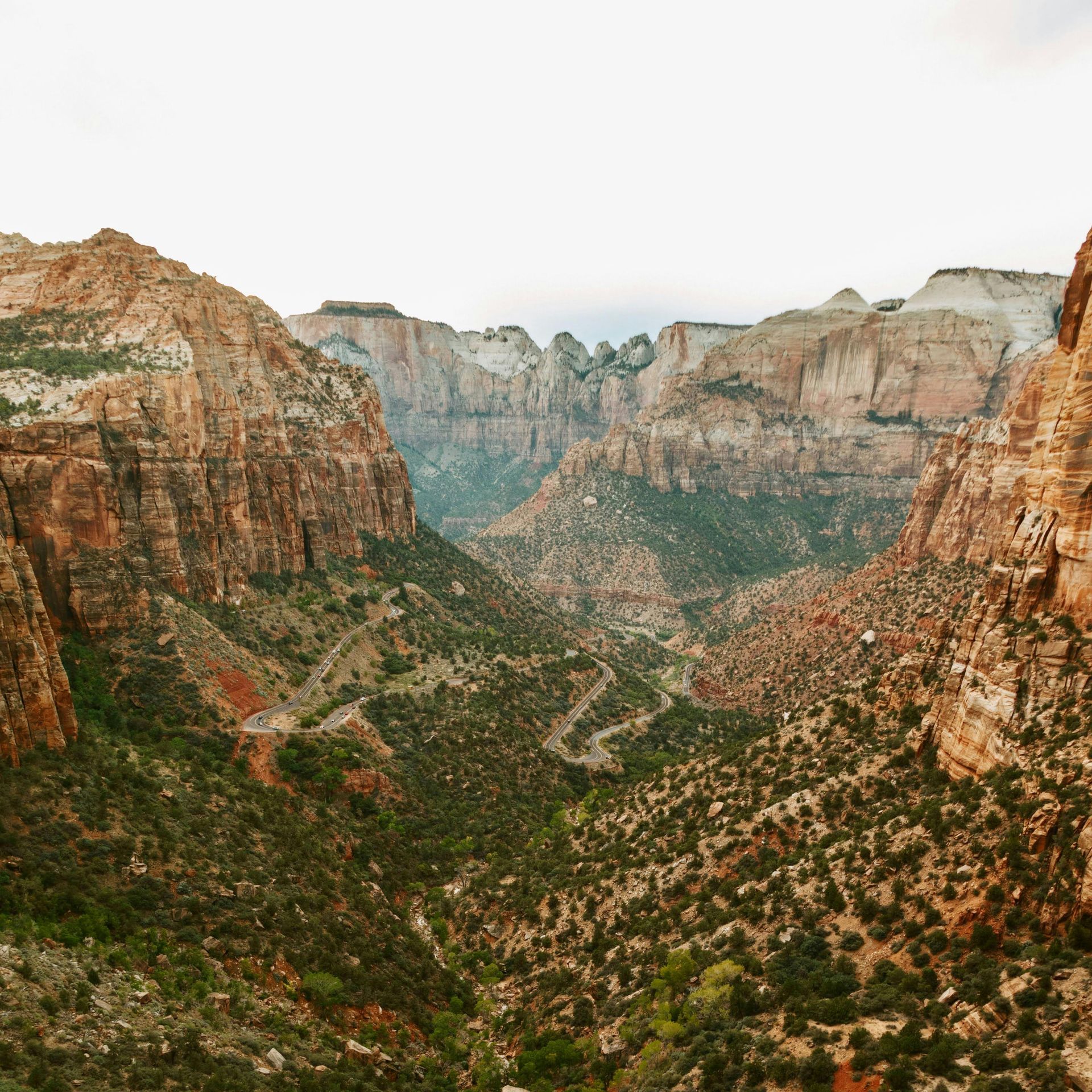 An aerial view of a canyon filled with mountains and trees at Zion National Park in Utah.