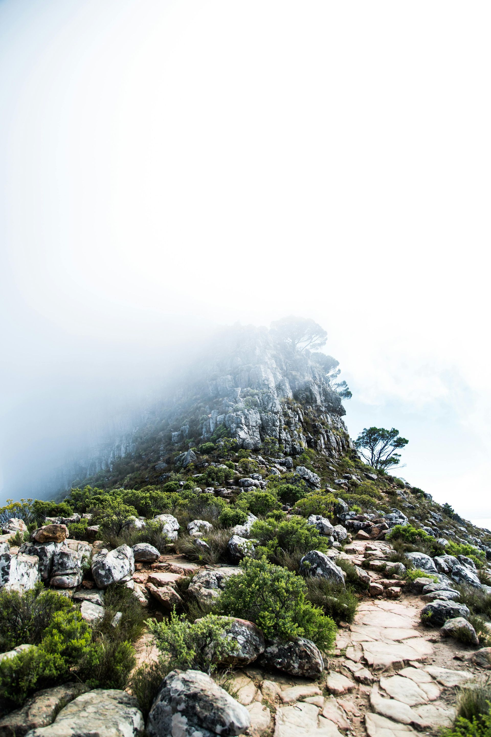 A path leading up to a mountain covered in fog in South Africa.