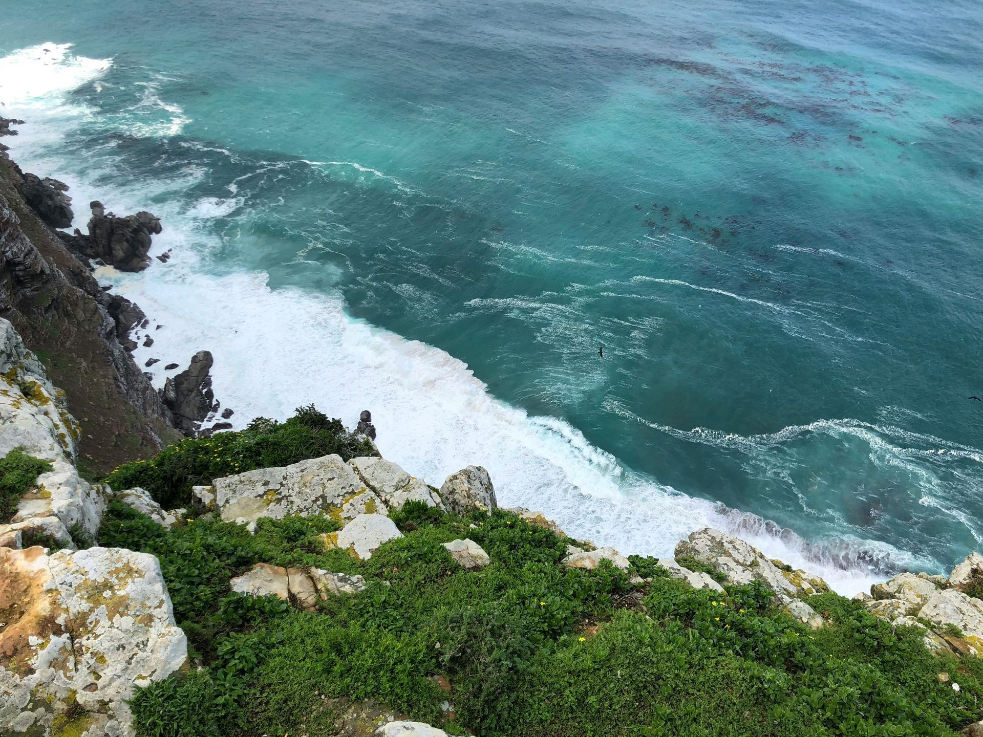 A cliff overlooking the ocean with waves crashing on the rocks in South Africa.