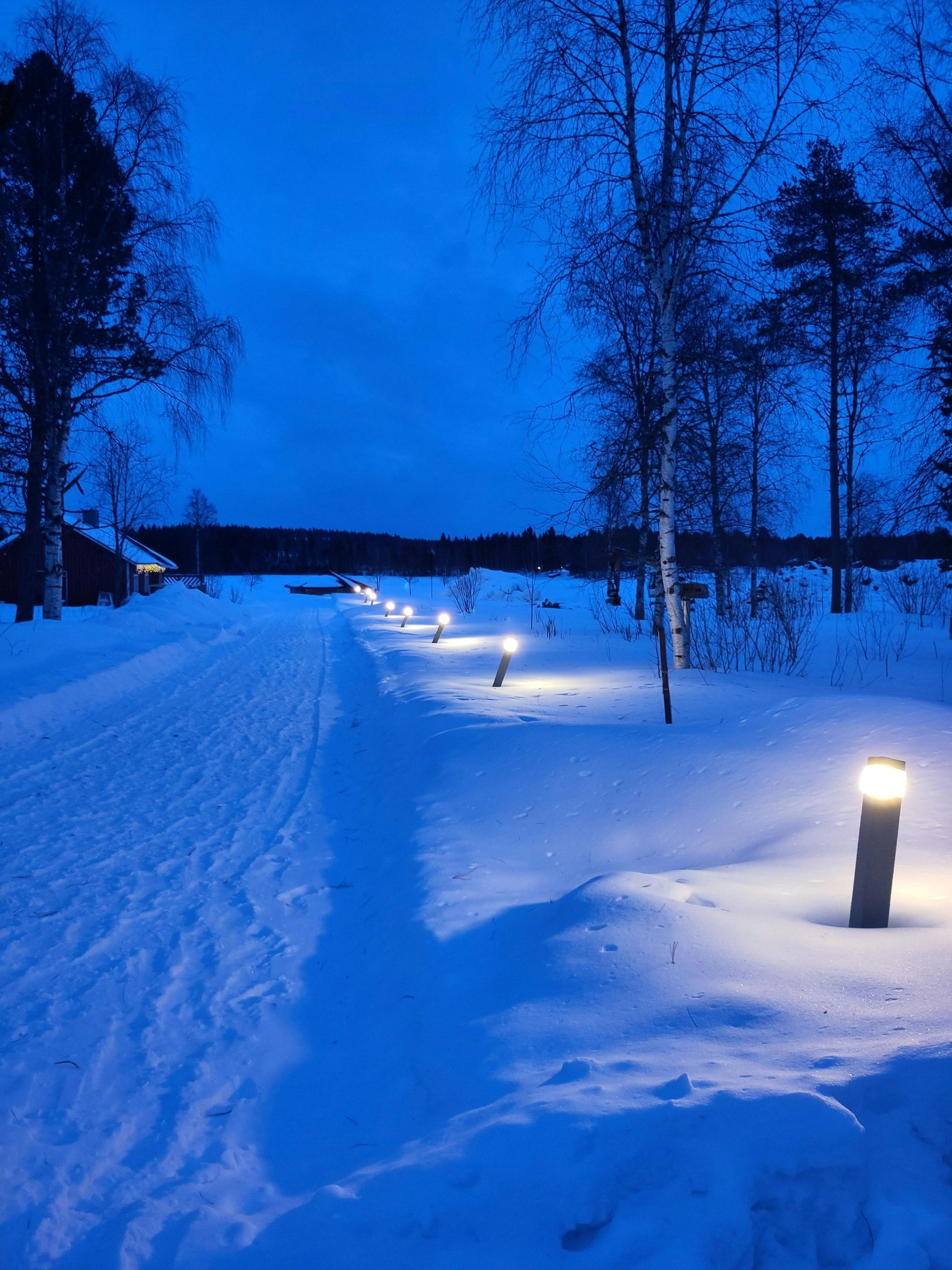 A snowy road with lights on the side of it at night in Finland.