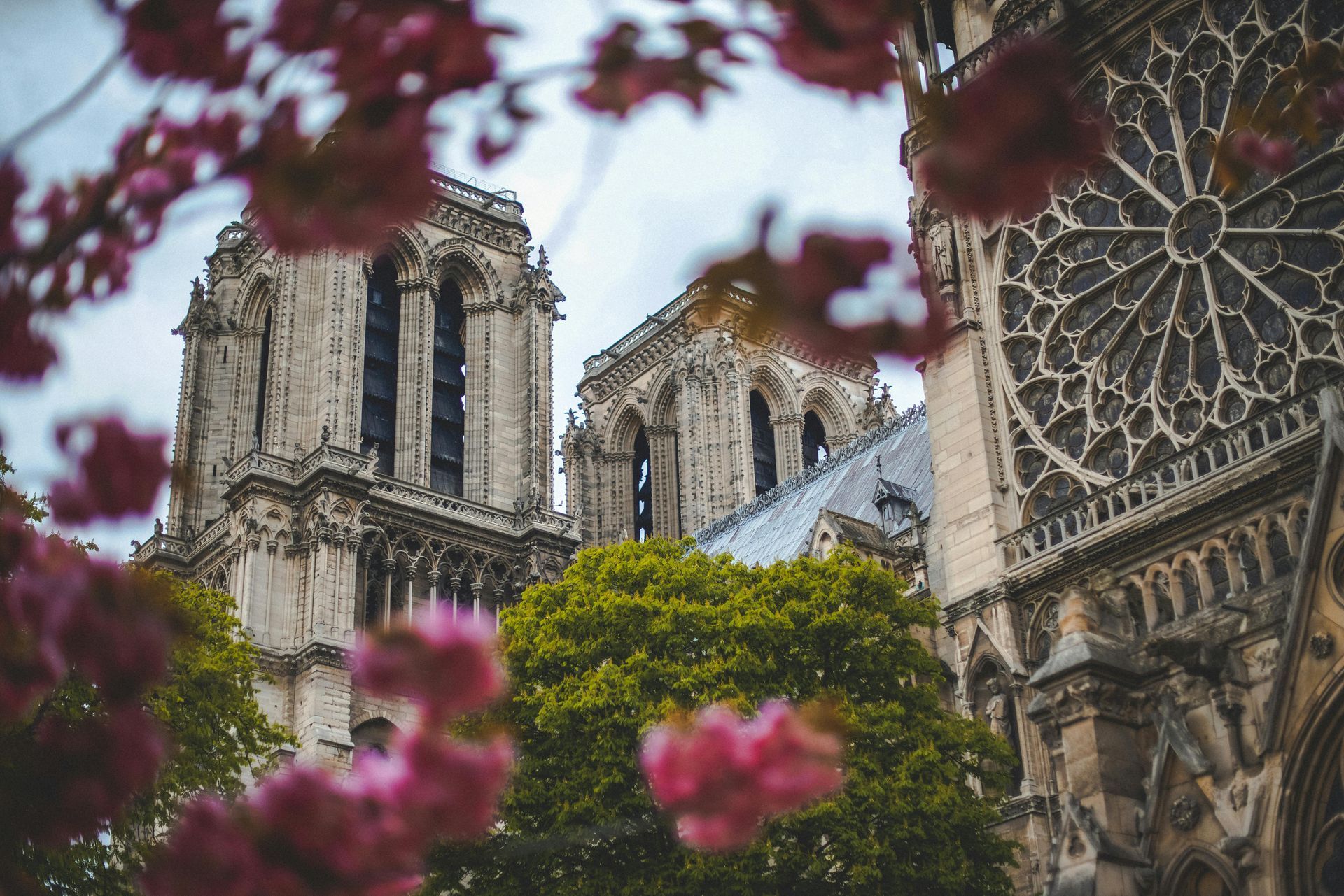 A large building with pink flowers in front of it in northern France. 