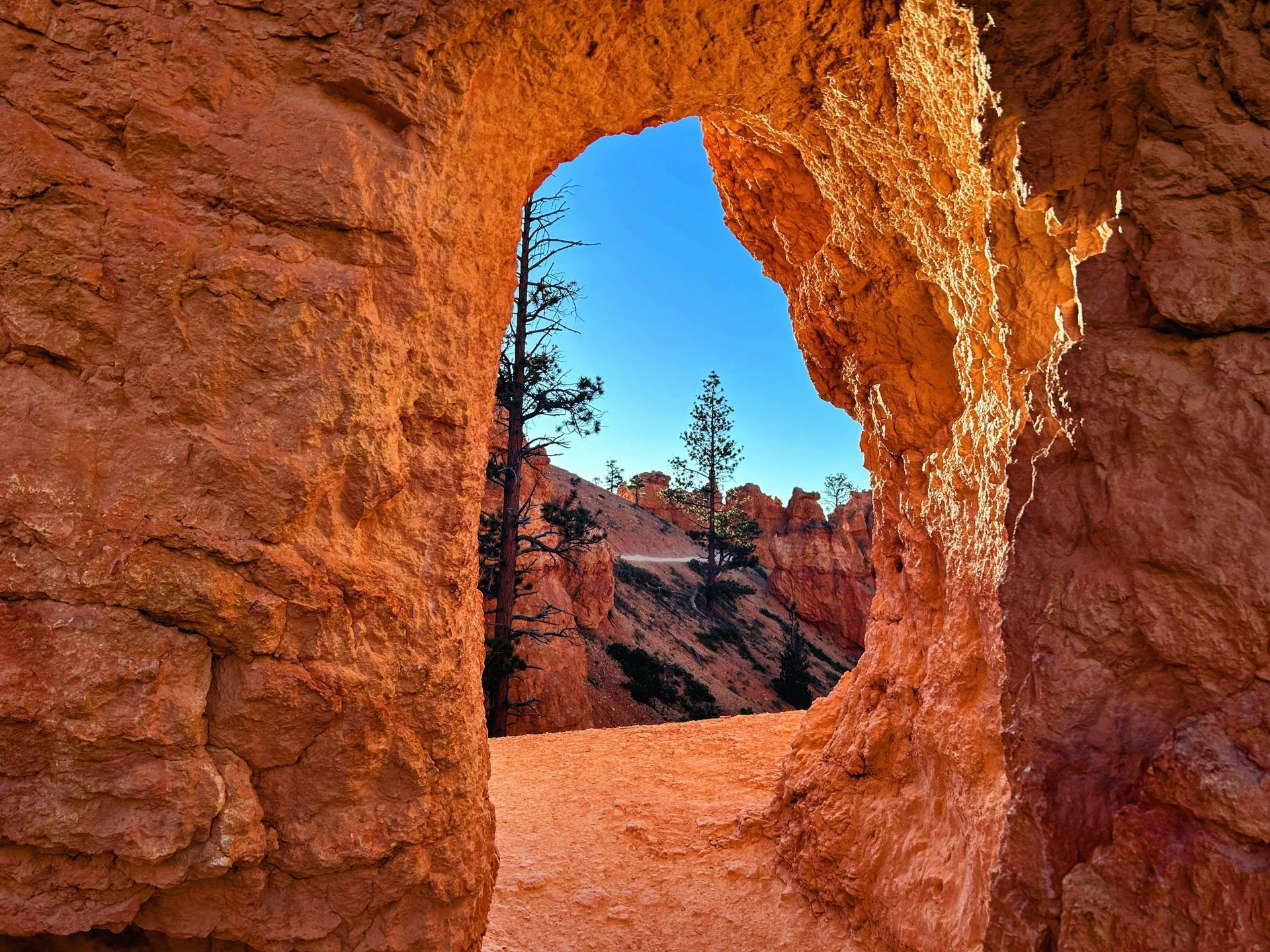 A view of a canyon through a hole in a rock wall at Bryce Canyon National Park in Utah.