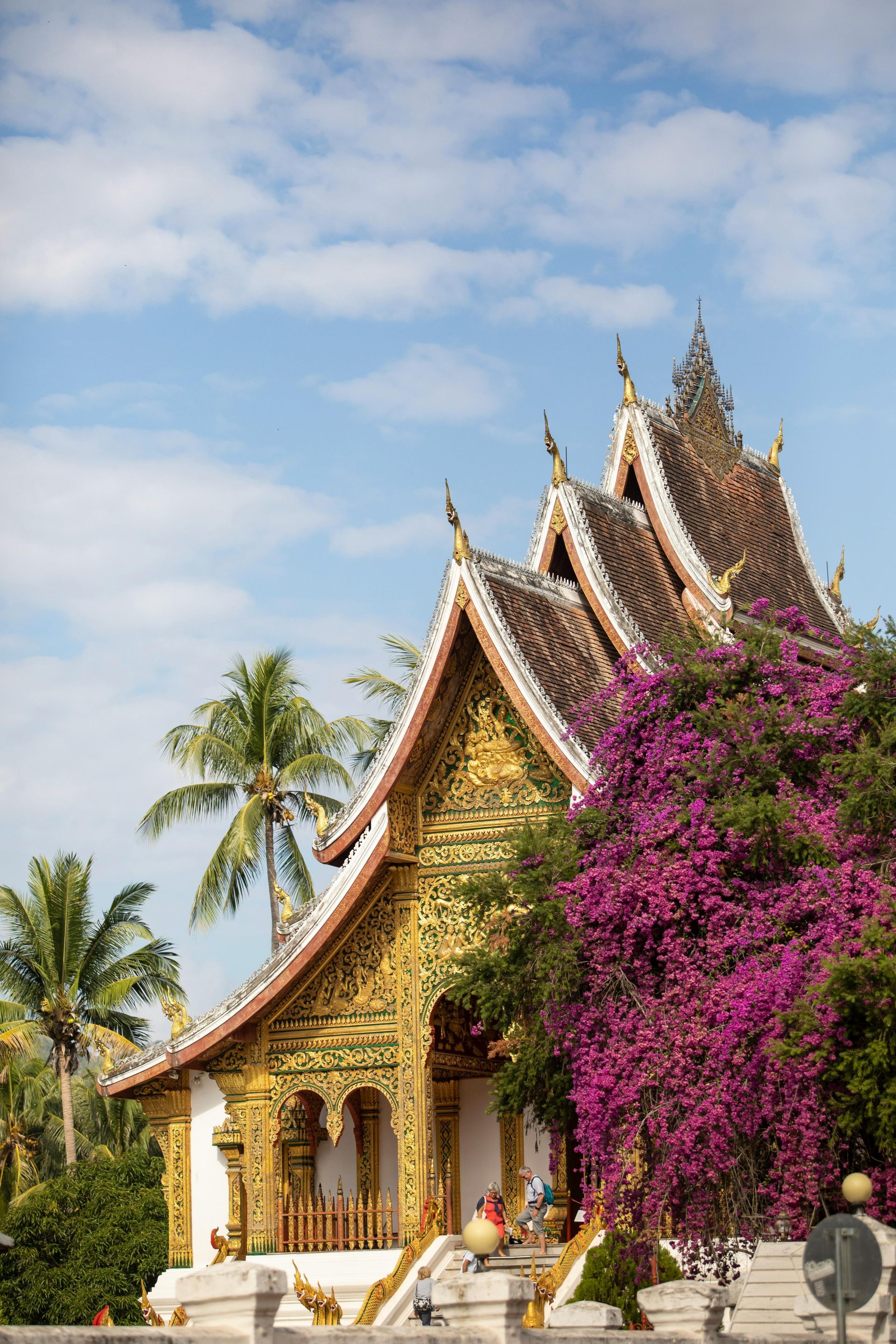 A temple with purple flowers and palm trees in front of it in Laos.