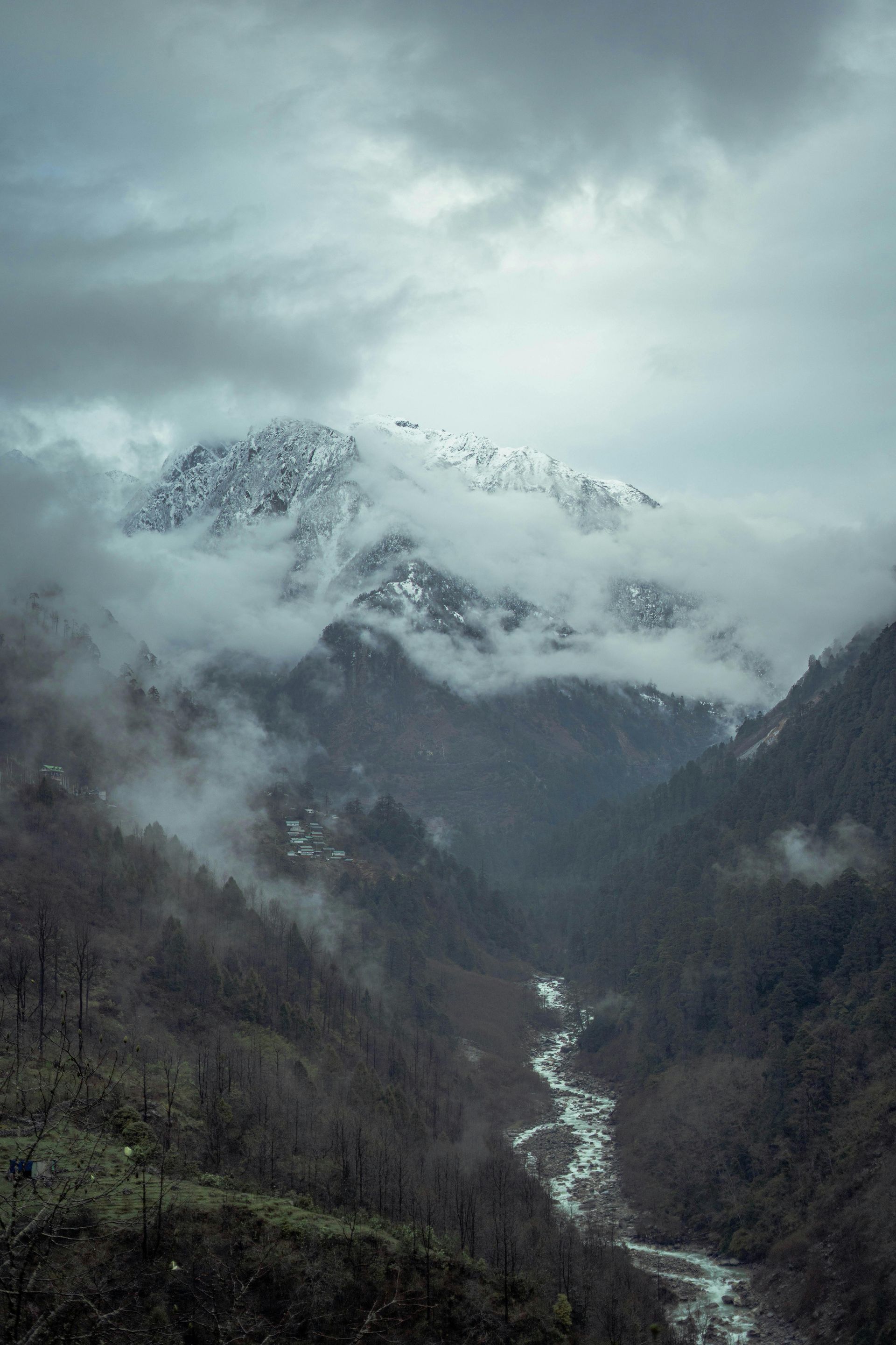 A river runs through a mountain valley surrounded by trees and clouds in Switzerland.