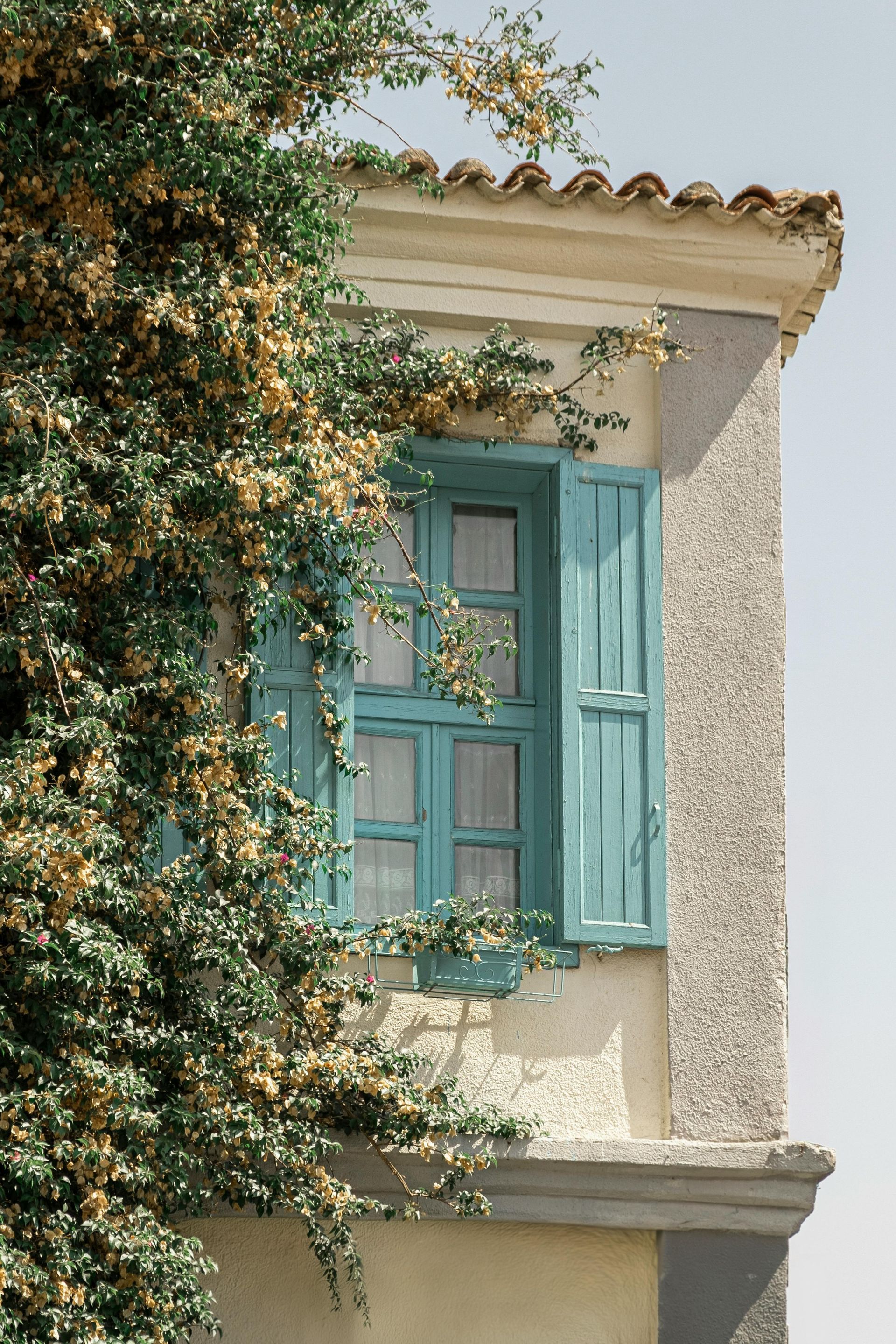 A building with blue shutters and a tree growing on the side of it.