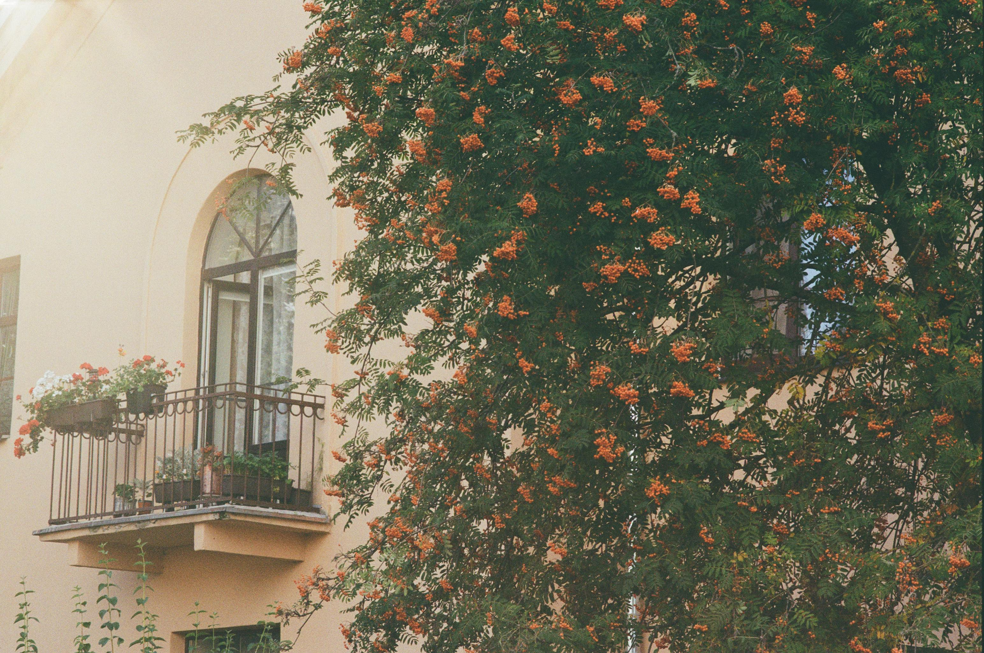 A building with a balcony and a tree in front of it