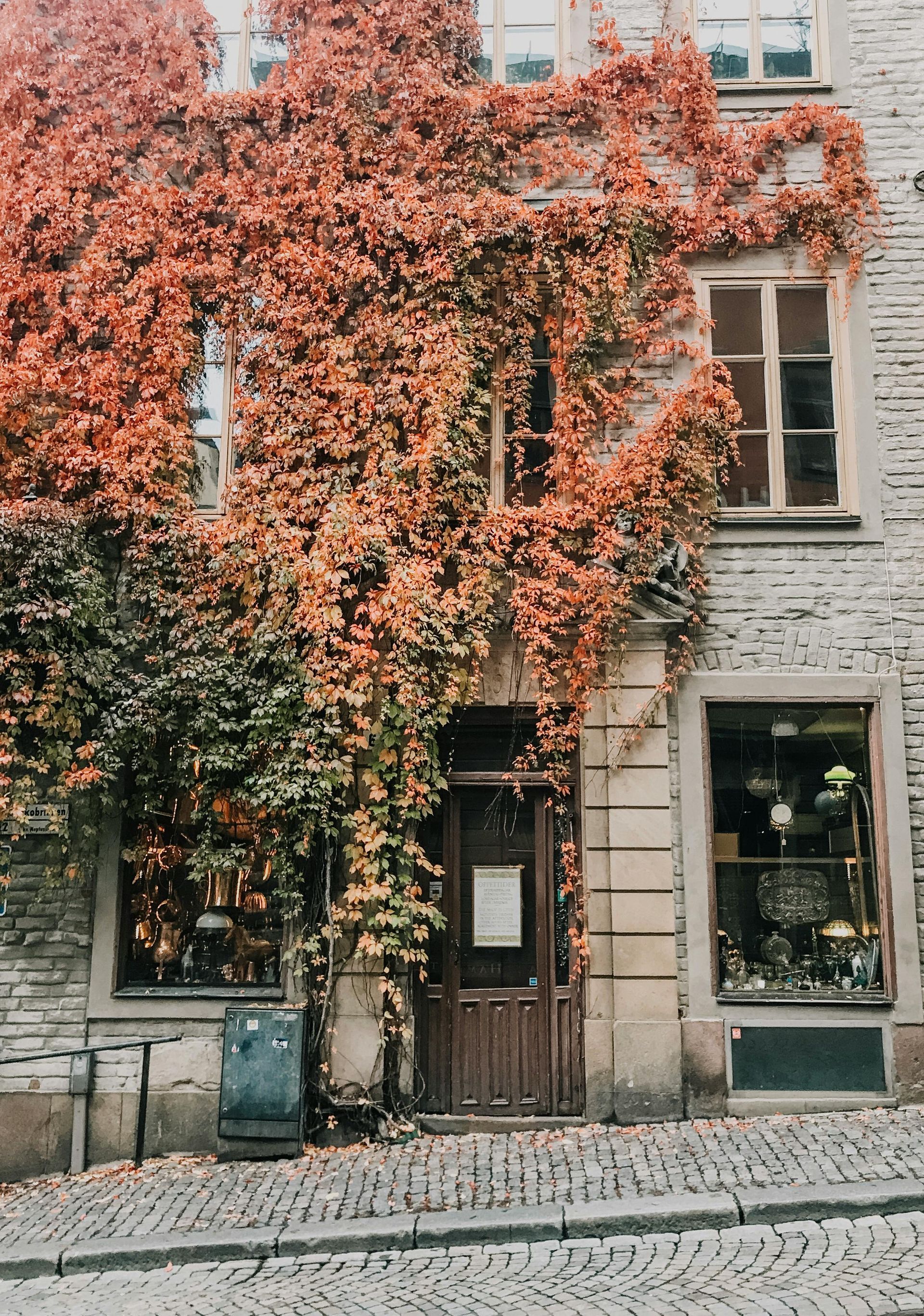 A building with a tree growing on the side of it in Sweden.