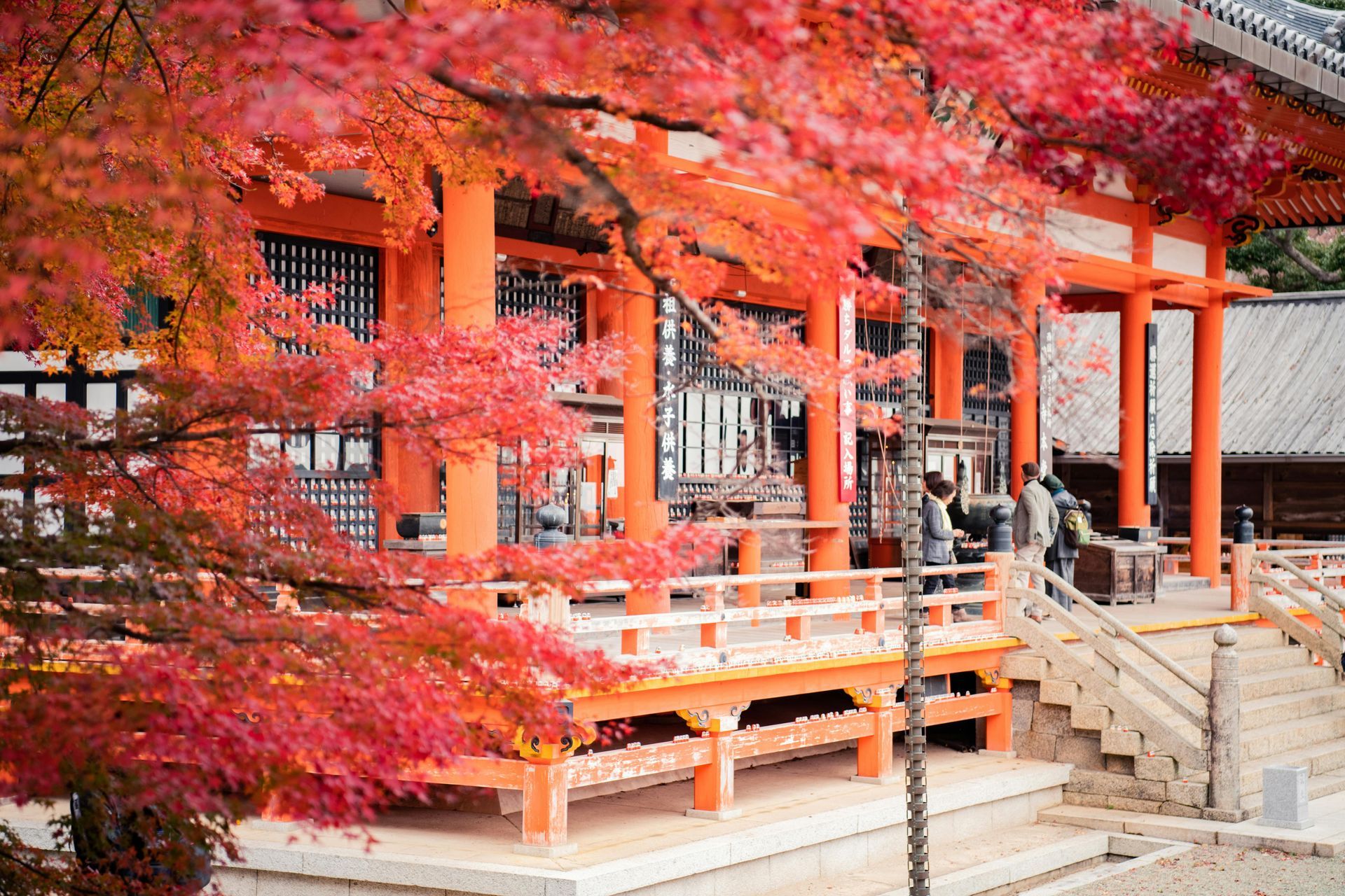 A temple with red leaves on the trees in front of it in Japan.