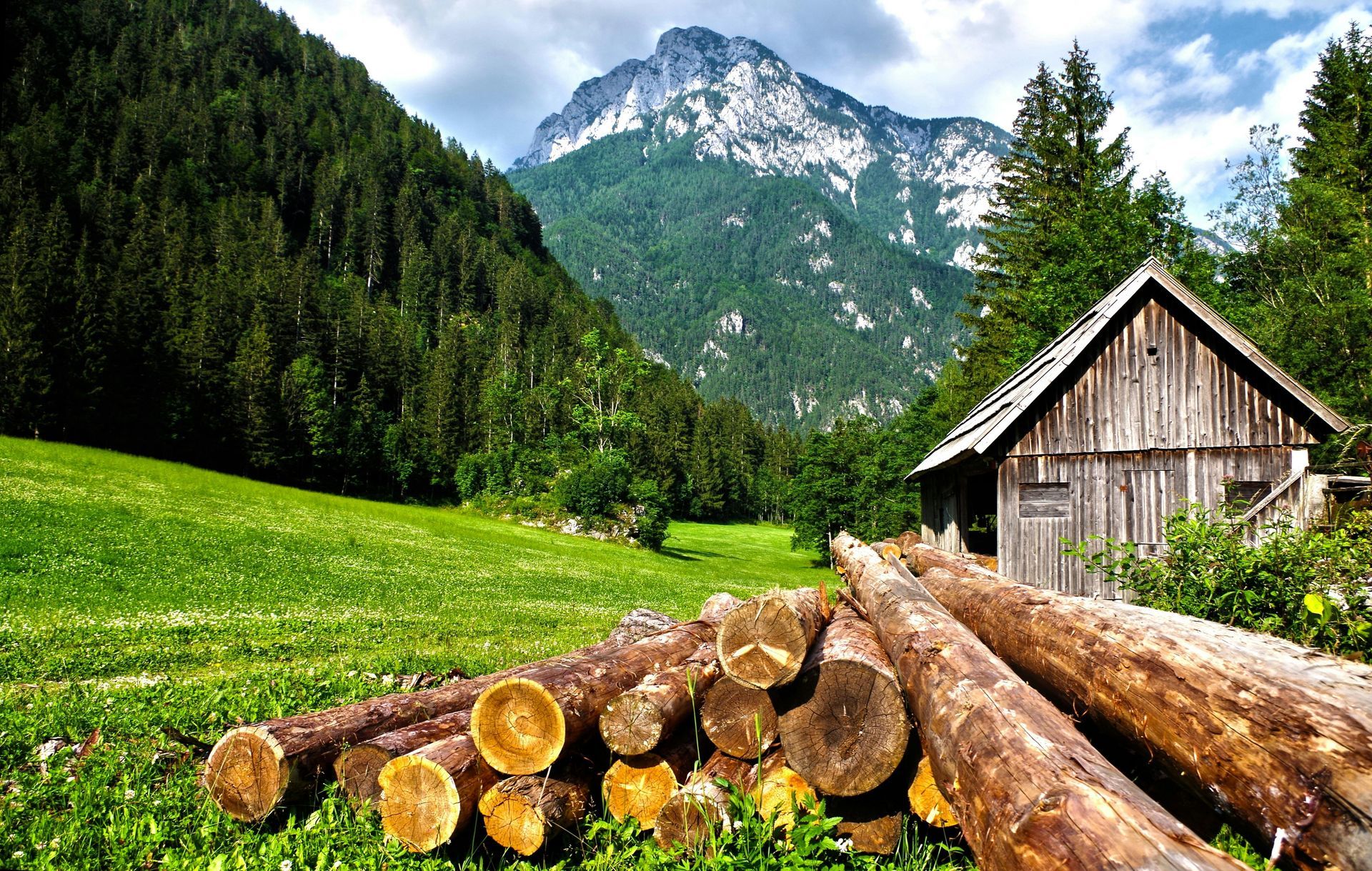 A pile of logs in a field with a mountain in the background in Switzerland. 