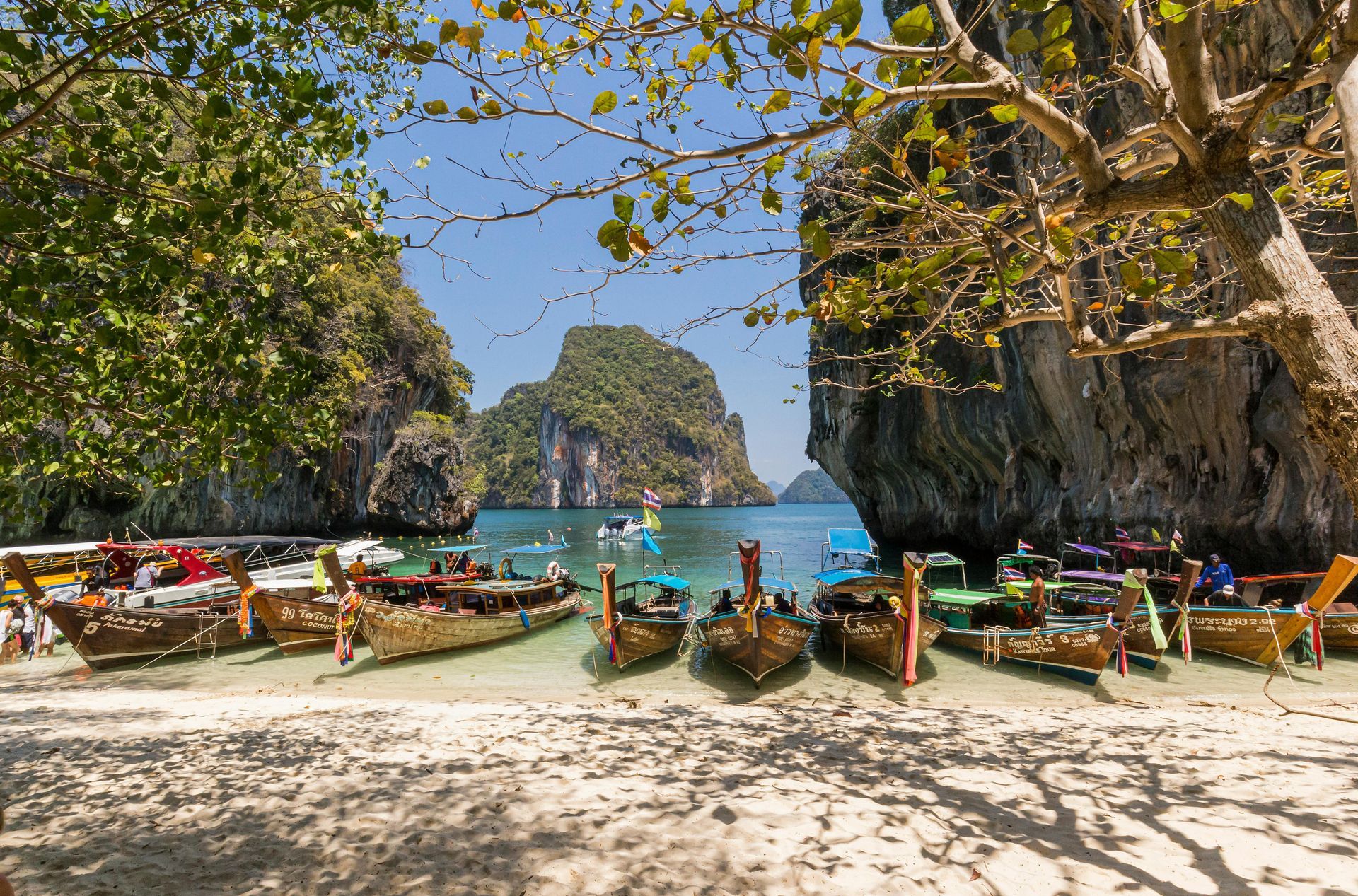 A row of boats are lined up on Ko Phi Phi Le beach in Thailand. 