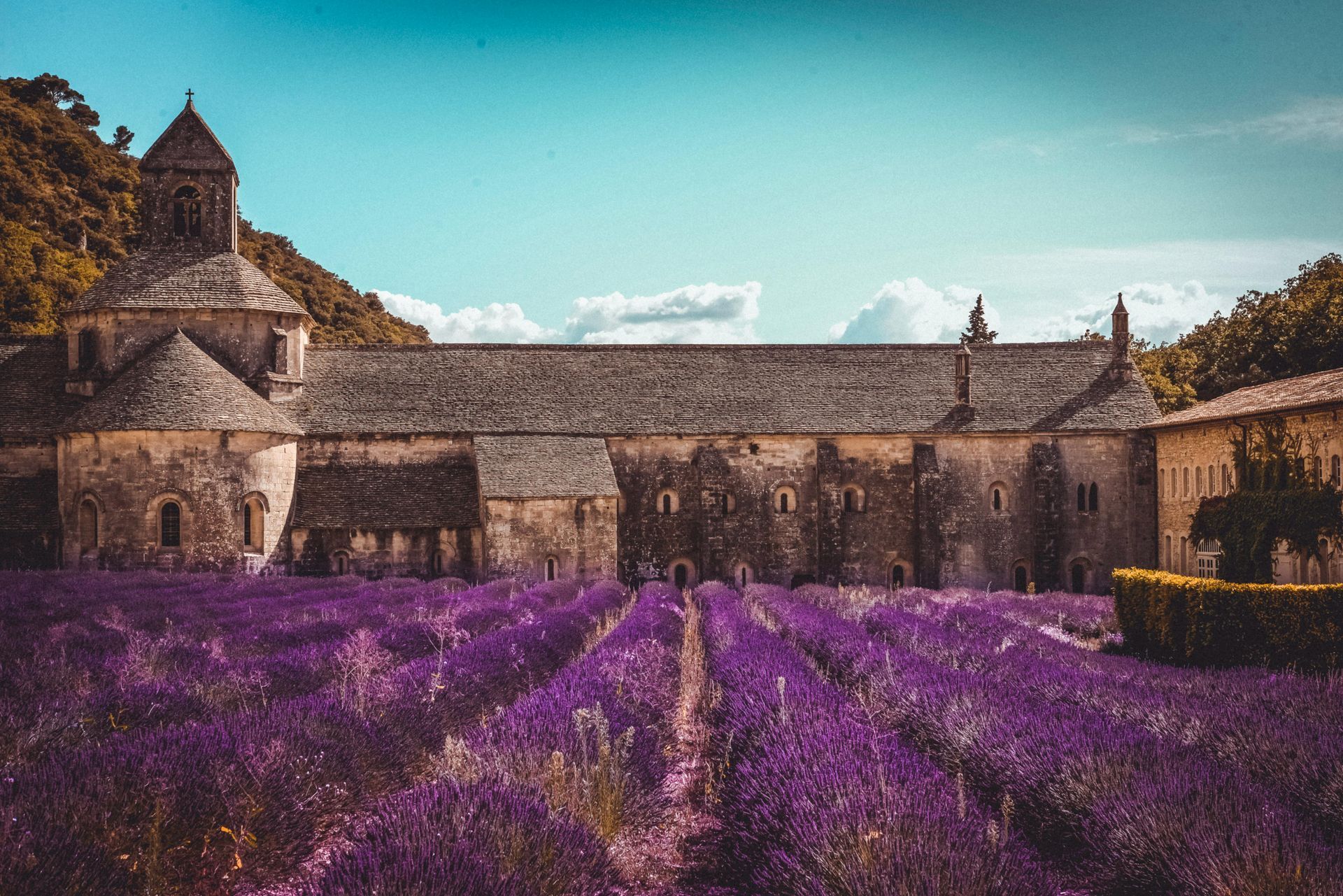 There is a large building in the background and a lavender field in Aix-en-Provence in southern France. 