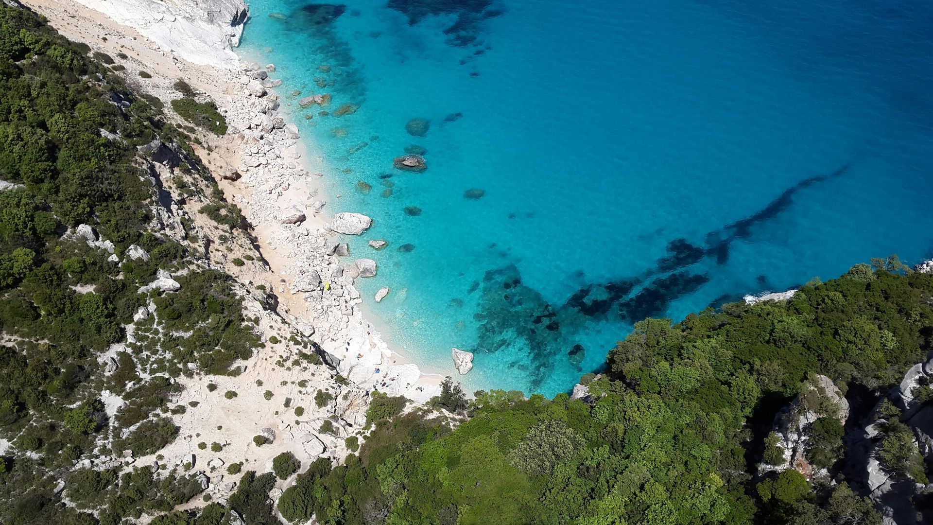 An aerial view of a beach surrounded by trees and turquoise water in Sardinia, Italy.