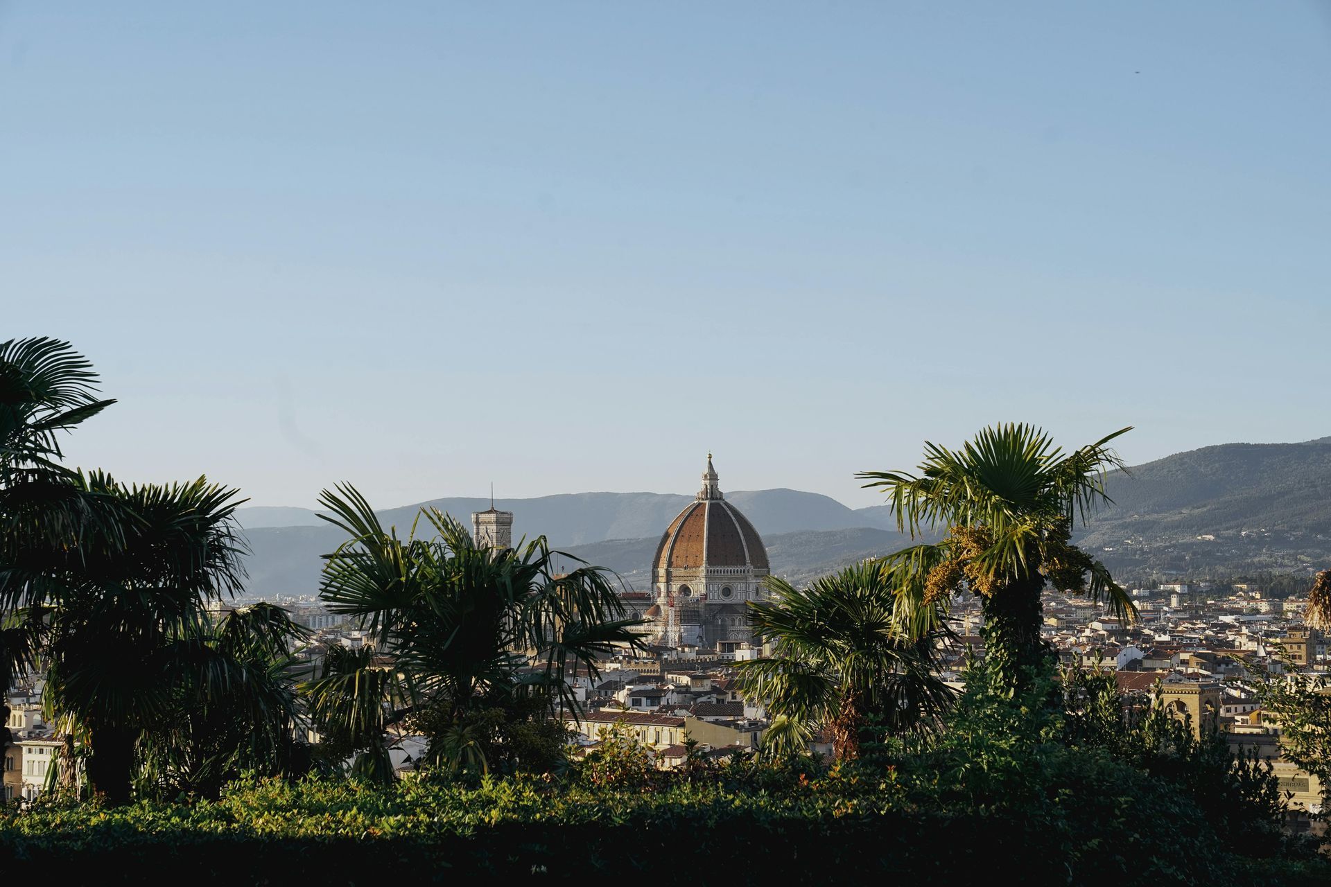 A view of a city with palm trees in the foreground in Florence, Italy.