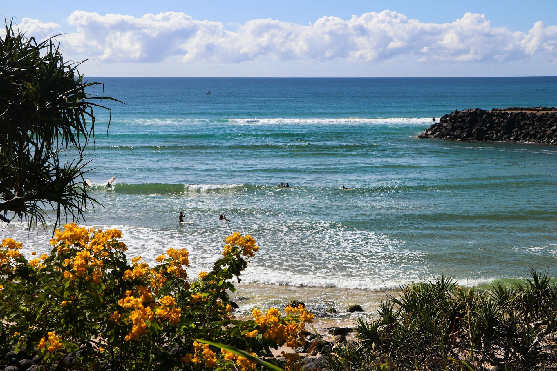 A view of the ocean from a beach with yellow flowers in the foreground in Australia.