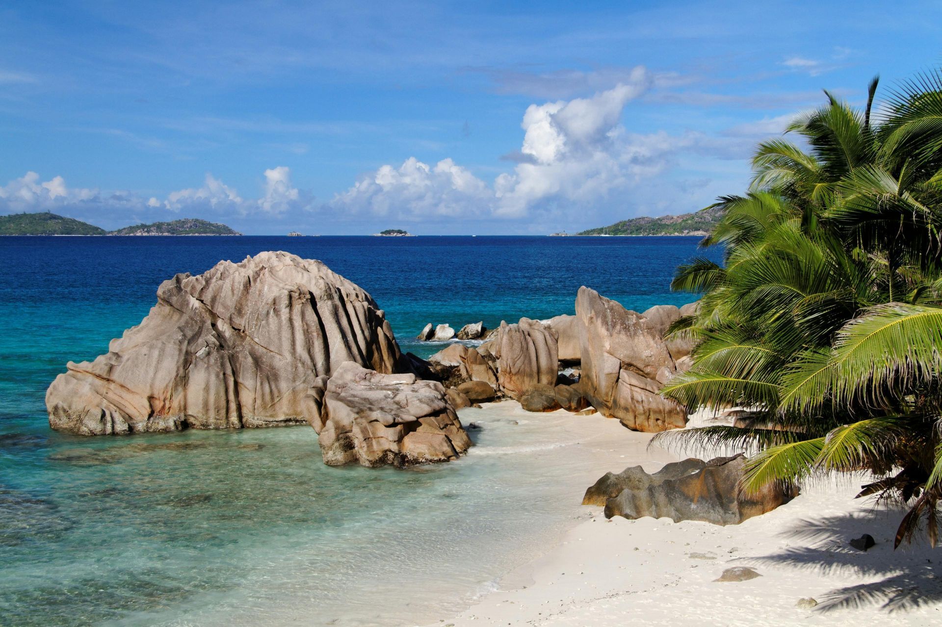 A beach with a lot of rocks and palm trees on Seychelles Island.