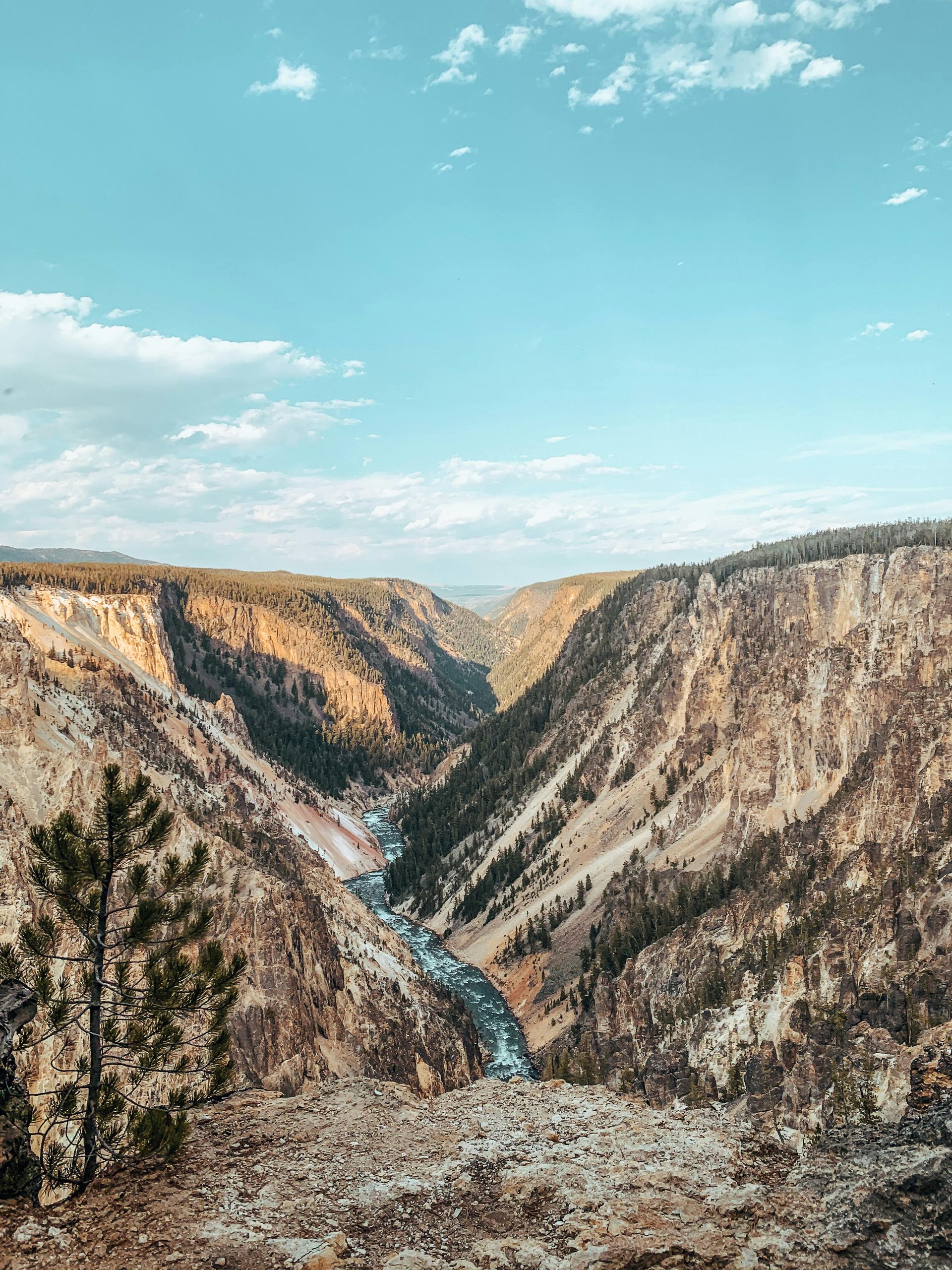 A river runs through a canyon between two mountains at Yellowstone National Park. 