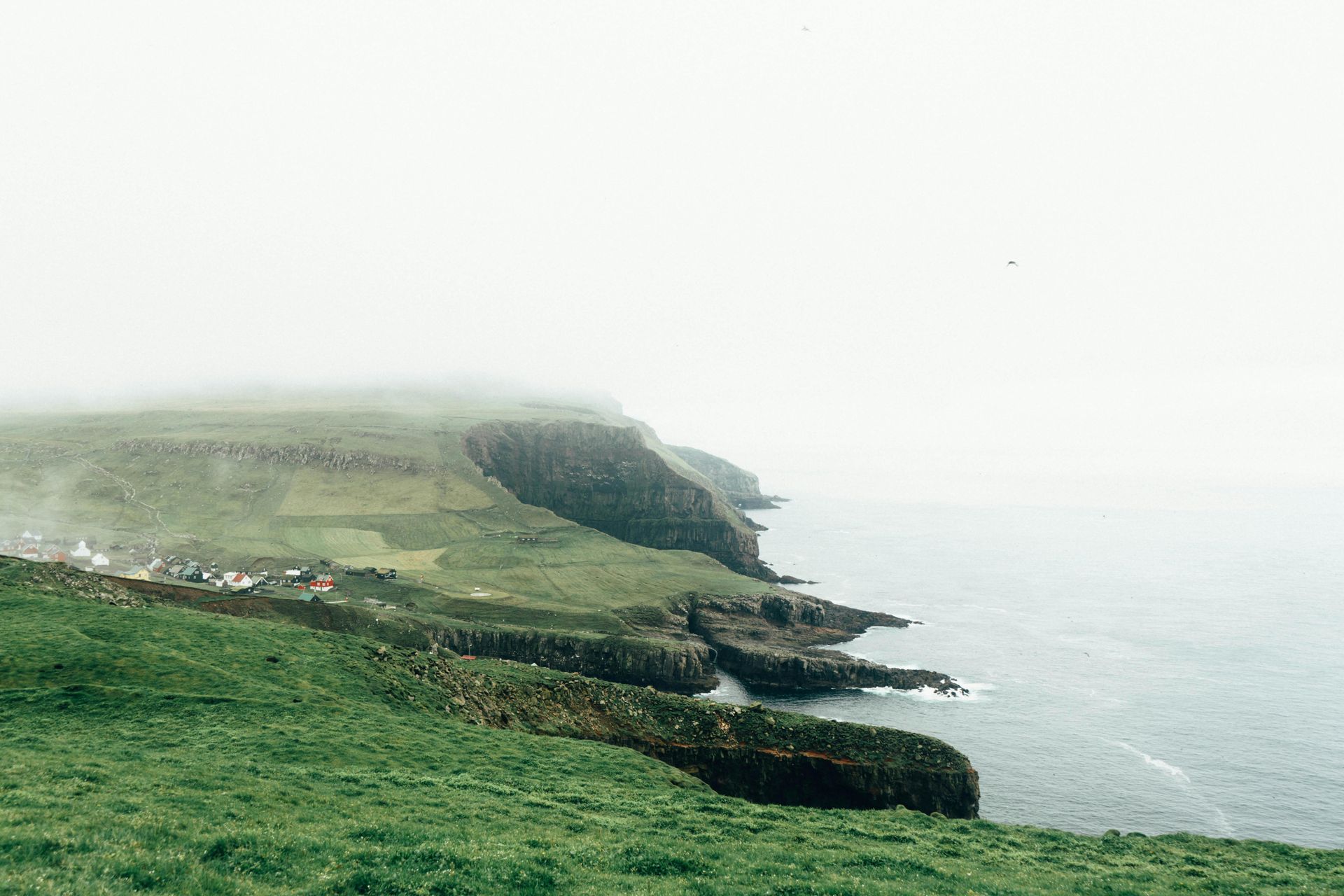 A view of a cliff overlooking the ocean on a foggy day in Denmark.