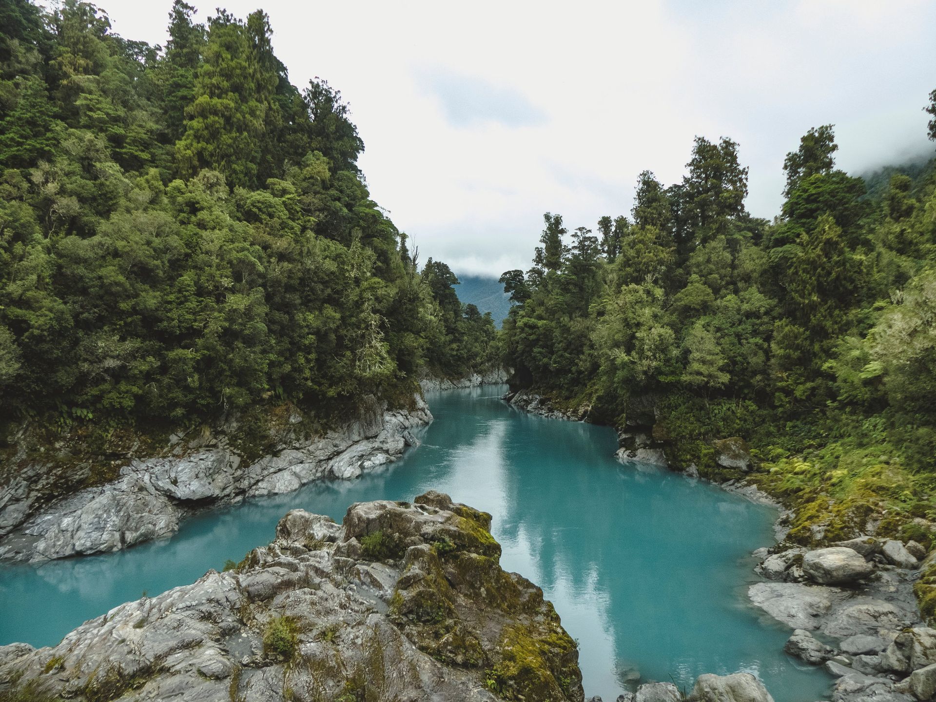 A river surrounded by trees and rocks in the middle of a forest in New Zeland.